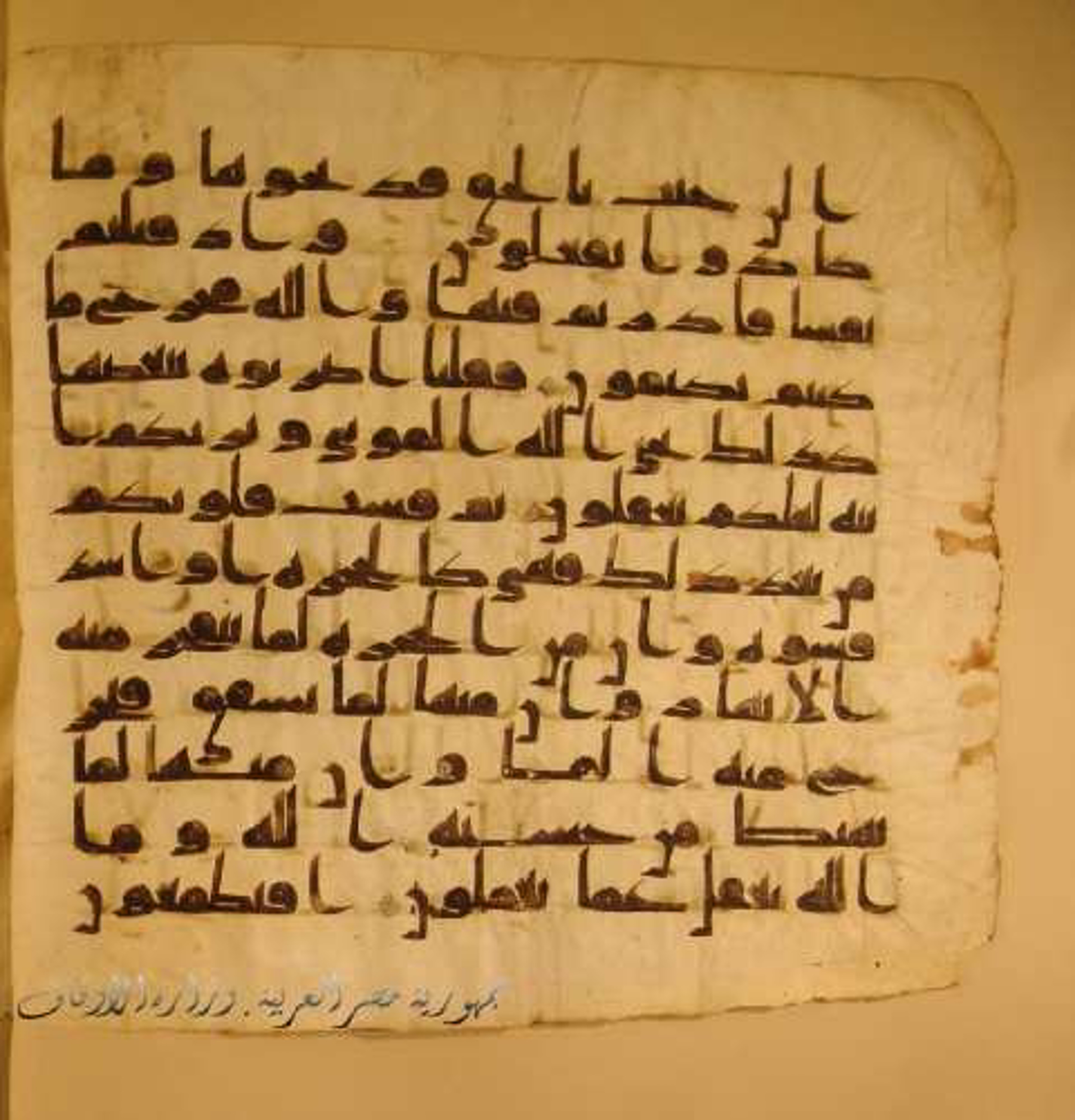 Paris, Bibliothèque nationale de France, Arabe 324 (c) (Scan 2), in Kufic C (Graphie C I a) script, showing Surah 2:71 from 8th Century AD found in Fustat (Old Cairo), Egypt, currently housed at Bibliothèque nationale de France, Paris