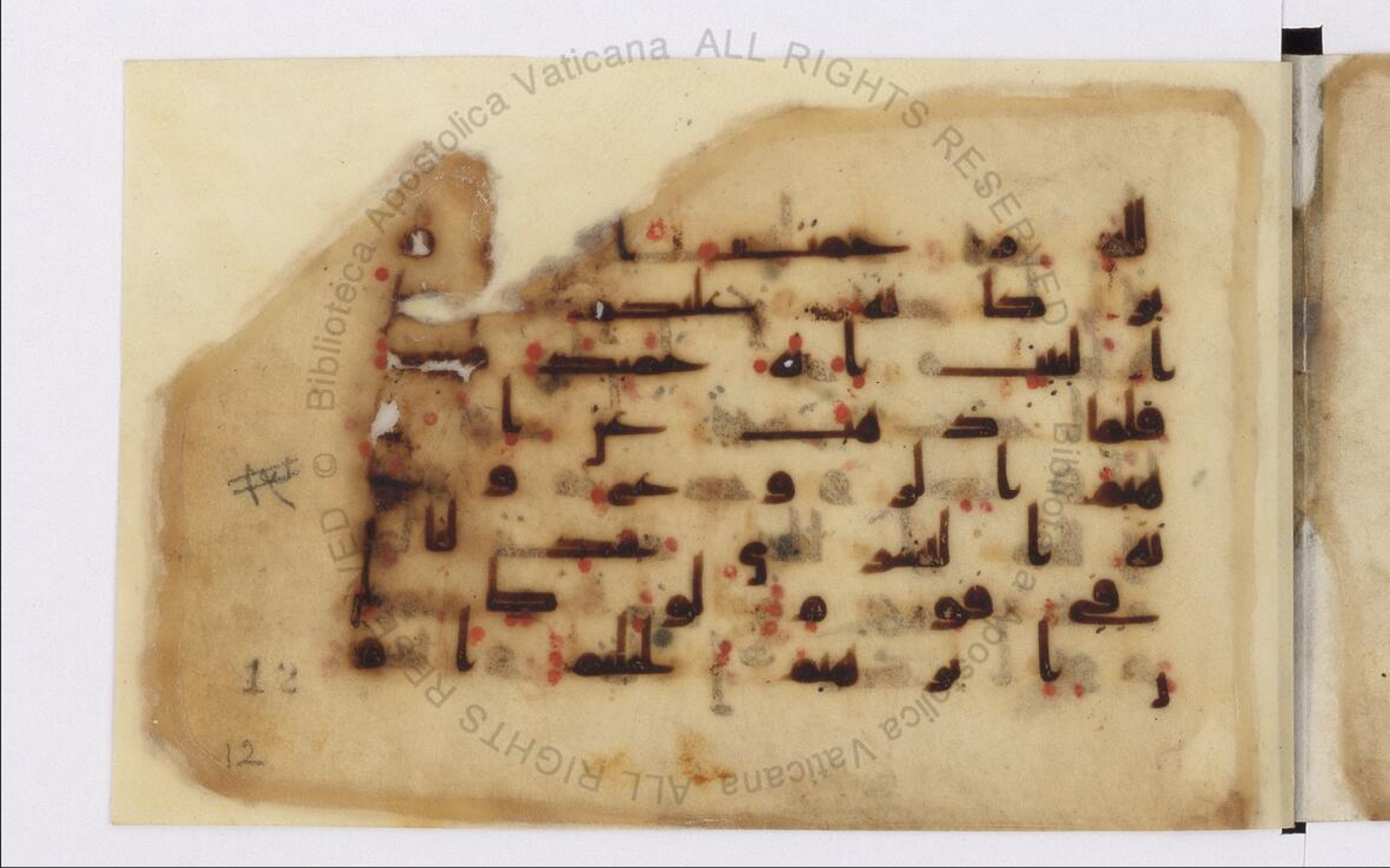 Paris, Bibliothèque nationale de France, Arabe 324 (c) (Scan 2), in Kufic C (Graphie C I a) script, showing Surah 11:73 from 8th Century AD found in Fustat (Old Cairo), Egypt, currently housed at Bibliothèque nationale de France, Paris