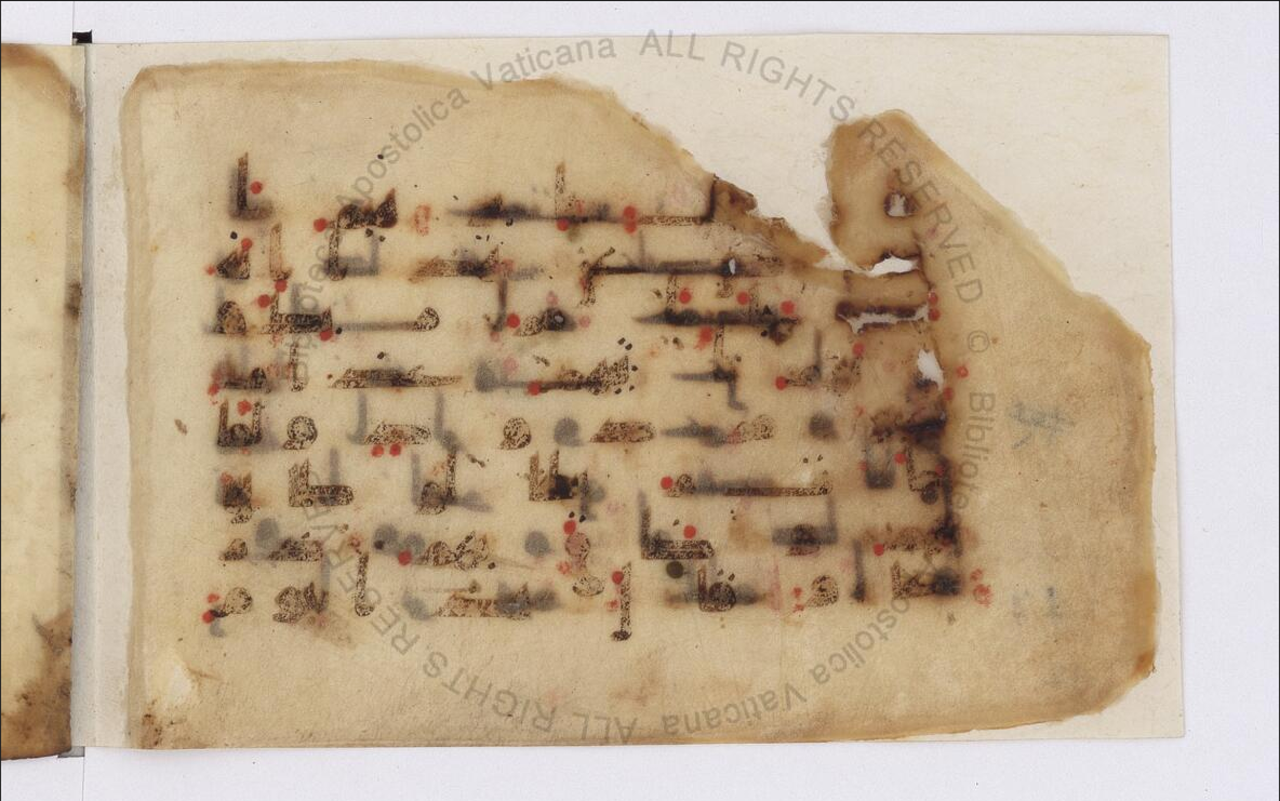 Paris, Bibliothèque nationale de France, Arabe 324 (c) (Scan 1), in Kufic C (Graphie C I a) script, showing Surah 11:76 from 8th Century AD found in Fustat (Old Cairo), Egypt, currently housed at Bibliothèque nationale de France, Paris