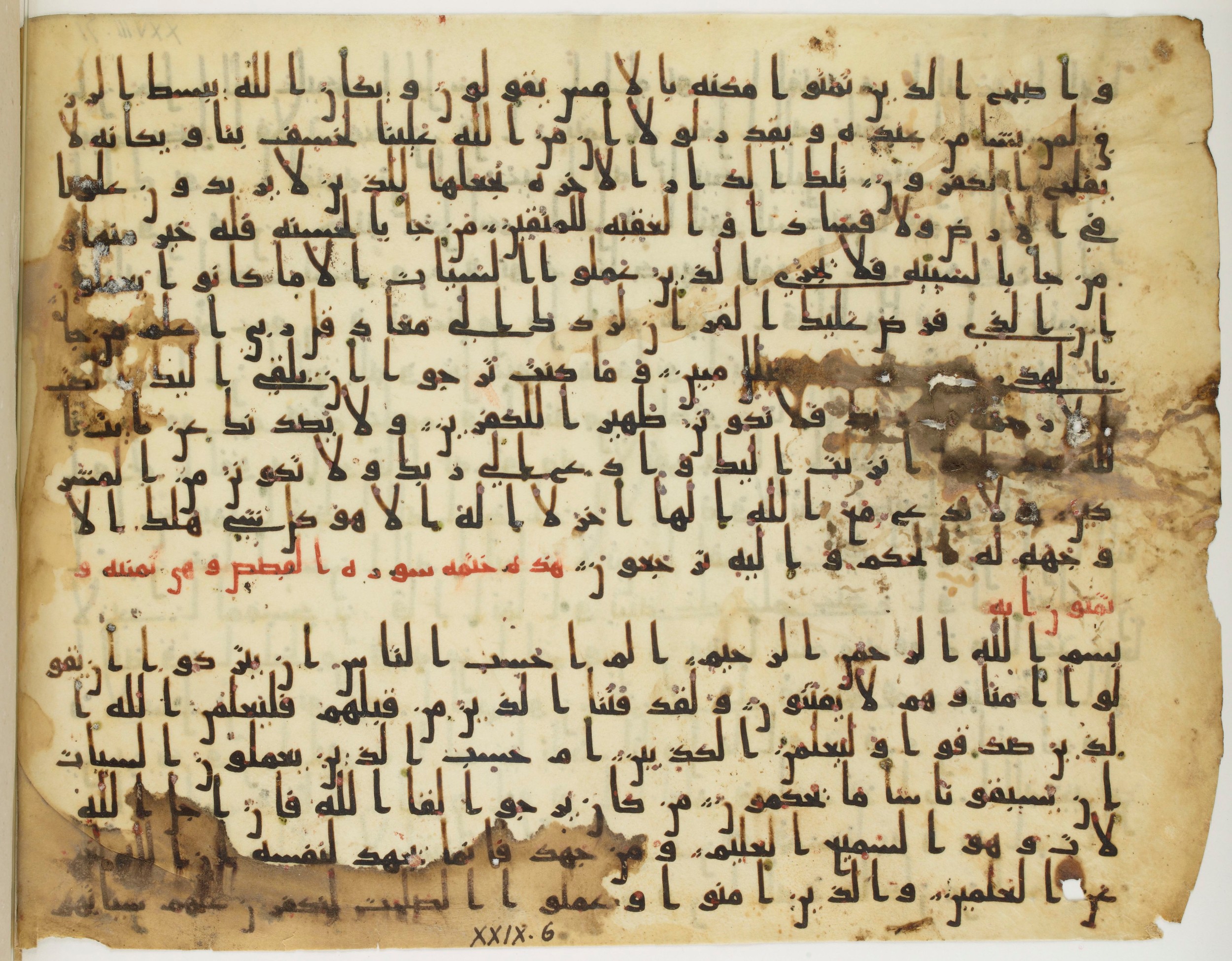 Paris, Bibliothèque nationale de France, Arabe 324 (c) (Scan 2), in Kufic C (Graphie C I a) script, showing Surah 29:3 from 8th Century AD found in Fustat (Old Cairo), Egypt, currently housed at Bibliothèque nationale de France, Paris