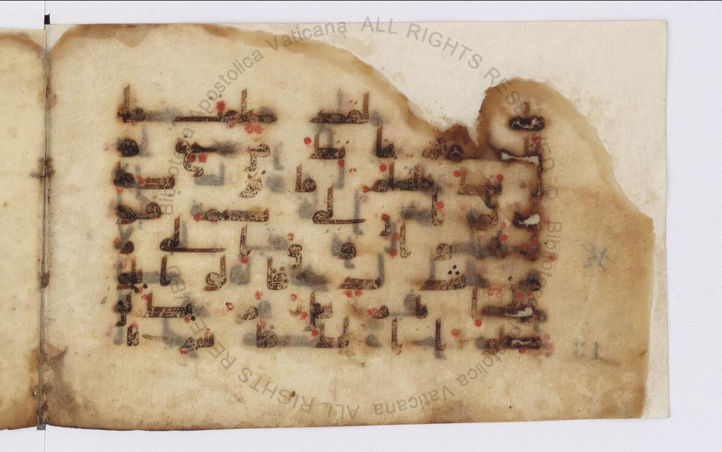 Paris, Bibliothèque nationale de France, Arabe 324 (c) (Scan 1), in Kufic C (Graphie C I a) script, showing Surah 11:81 from 8th Century AD found in Fustat (Old Cairo), Egypt, currently housed at Bibliothèque nationale de France, Paris