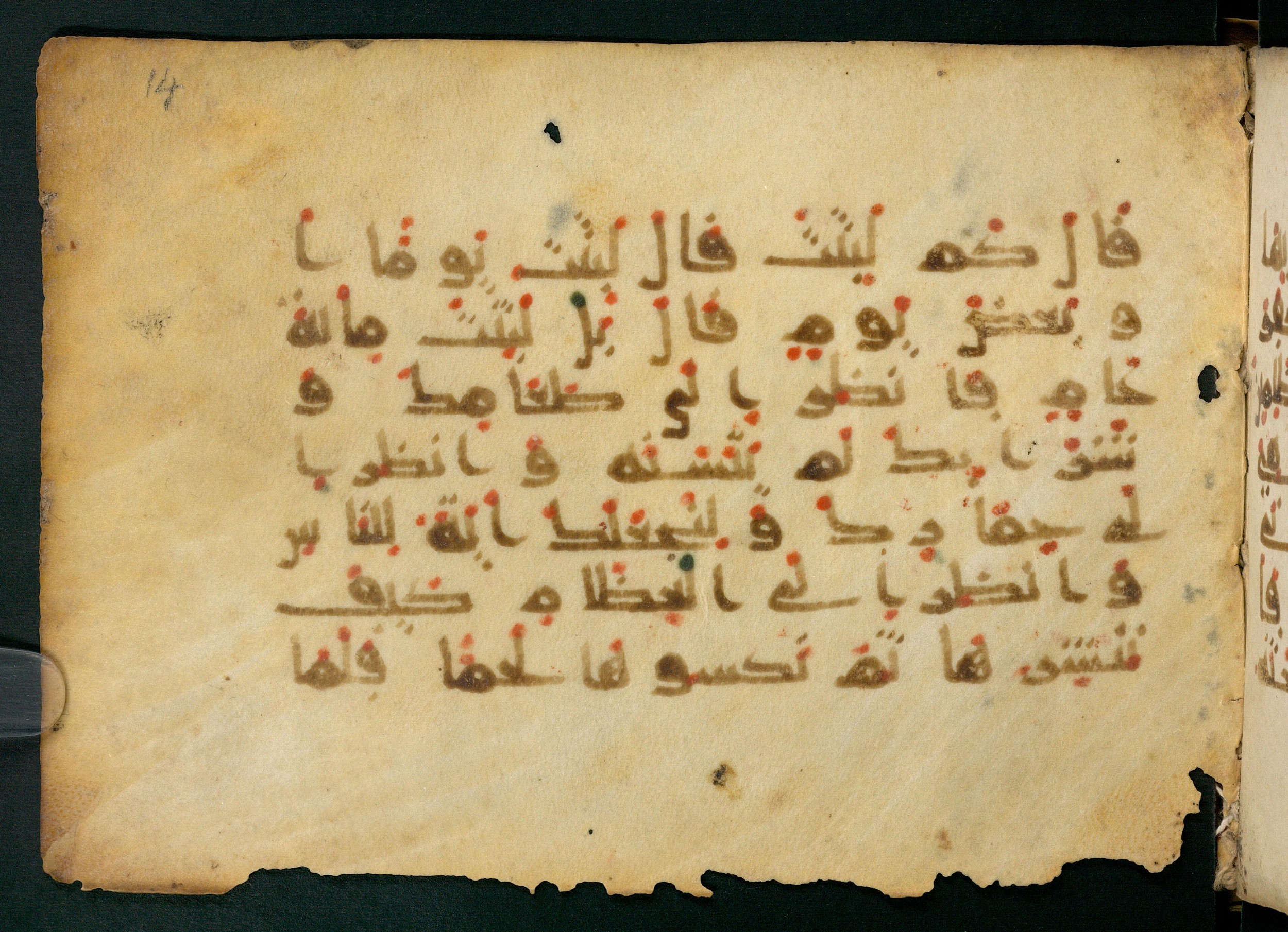 Paris, Bibliothèque nationale de France, Arabe 324 (c) (Scan 2), in Kufic C (Graphie C I a) script, showing Surah 2:259 from 8th Century AD found in Fustat (Old Cairo), Egypt, currently housed at Bibliothèque nationale de France, Paris
