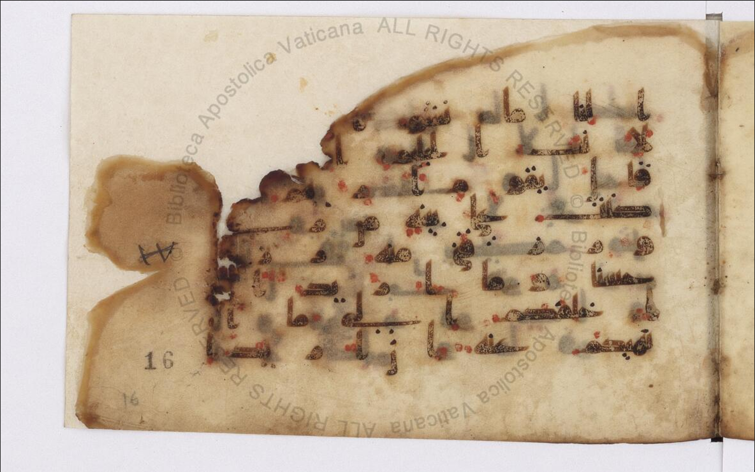 Paris, Bibliothèque nationale de France, Arabe 324 (c) (Scan 2), in Kufic C (Graphie C I a) script, showing Surah 11:87 from 8th Century AD found in Fustat (Old Cairo), Egypt, currently housed at Bibliothèque nationale de France, Paris