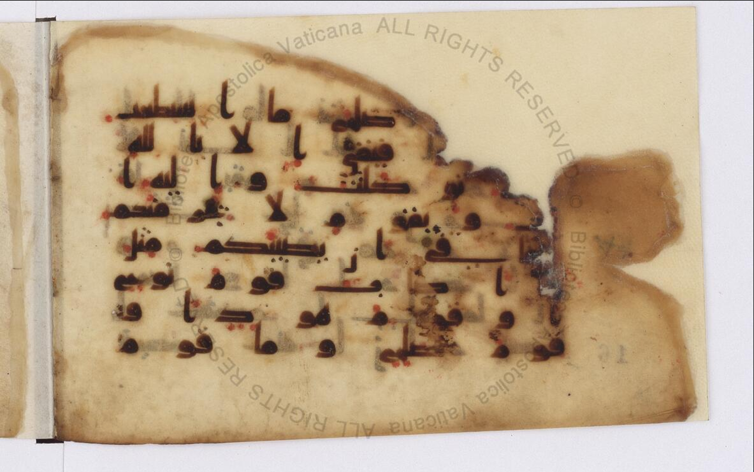Paris, Bibliothèque nationale de France, Arabe 324 (c) (Scan 1), in Kufic C (Graphie C I a) script, showing Surah 11:89 from 8th Century AD found in Fustat (Old Cairo), Egypt, currently housed at Bibliothèque nationale de France, Paris