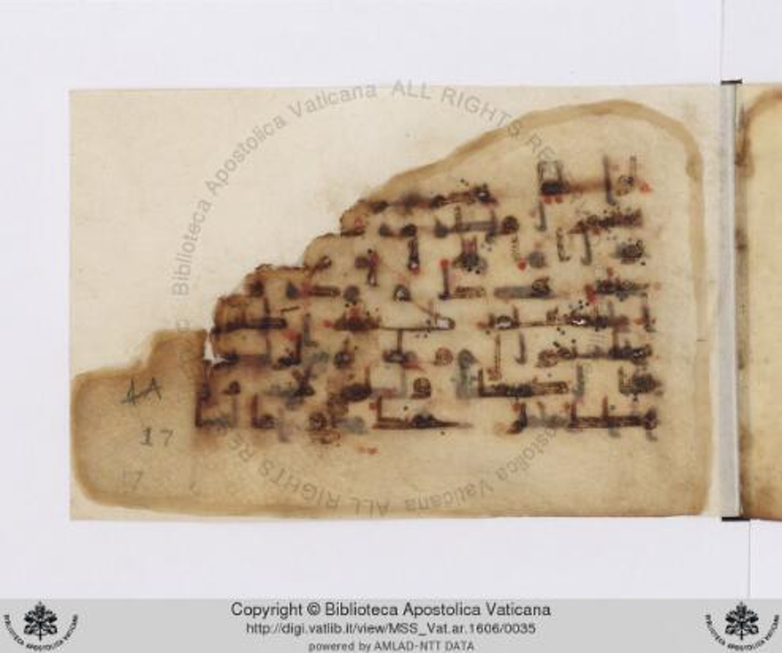 Paris, Bibliothèque nationale de France, Arabe 324 (c) (Scan 2), in Kufic C (Graphie C I a) script, showing Surah 11:89 from 8th Century AD found in Fustat (Old Cairo), Egypt, currently housed at Bibliothèque nationale de France, Paris