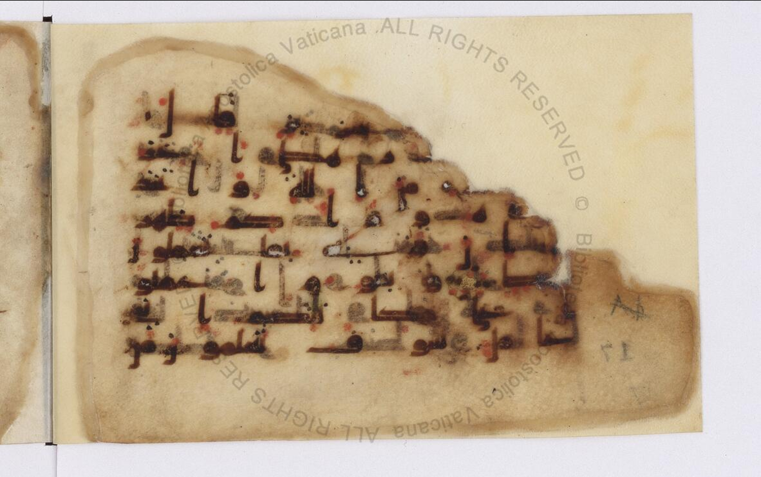 Paris, Bibliothèque nationale de France, Arabe 324 (c) (Scan 1), in Kufic C (Graphie C I a) script, showing Surah 11:92 from 8th Century AD found in Fustat (Old Cairo), Egypt, currently housed at Bibliothèque nationale de France, Paris