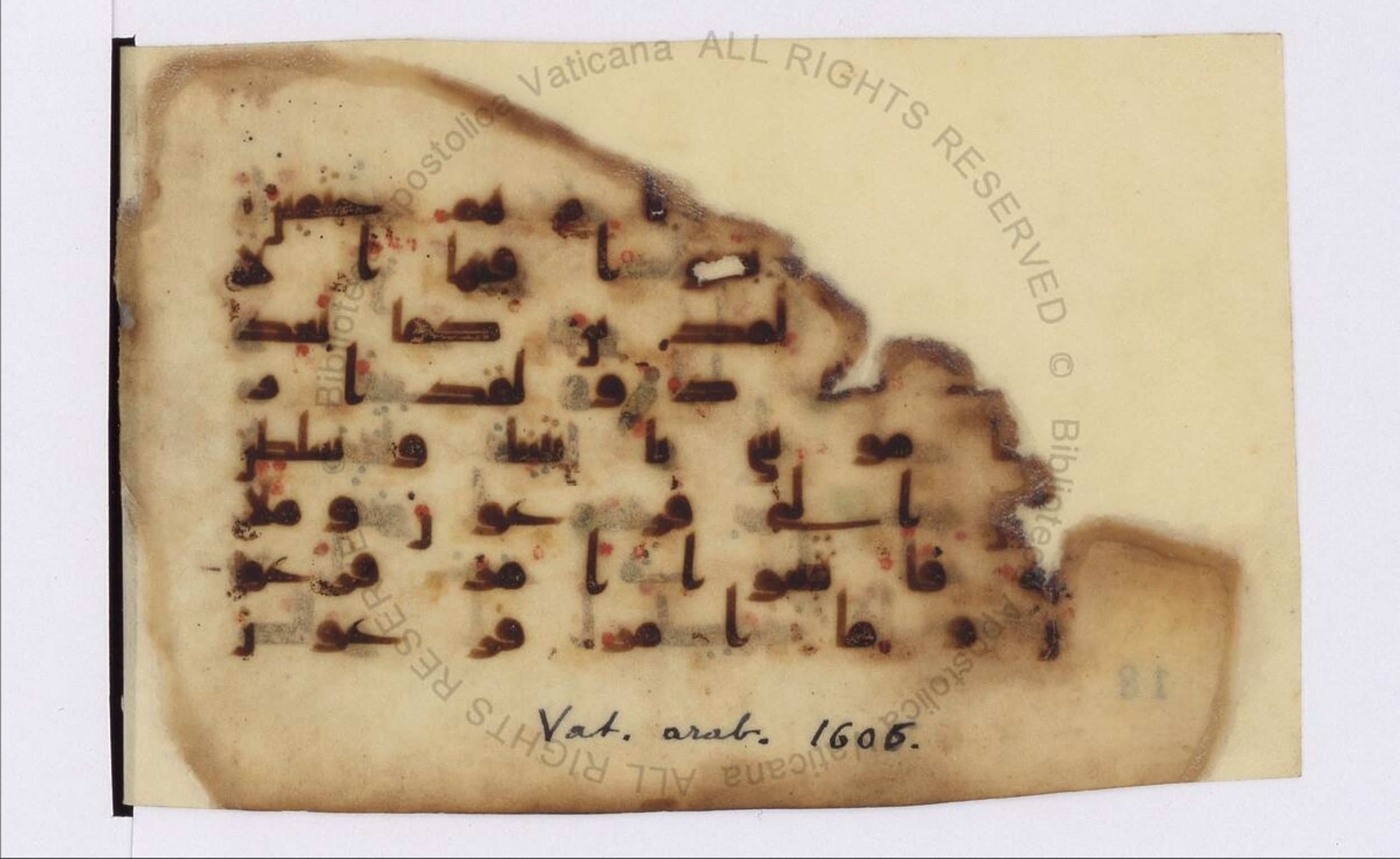 Paris, Bibliothèque nationale de France, Arabe 324 (c) (Scan 1), in Kufic C (Graphie C I a) script, showing Surah 11:96 from 8th Century AD found in Fustat (Old Cairo), Egypt, currently housed at Bibliothèque nationale de France, Paris