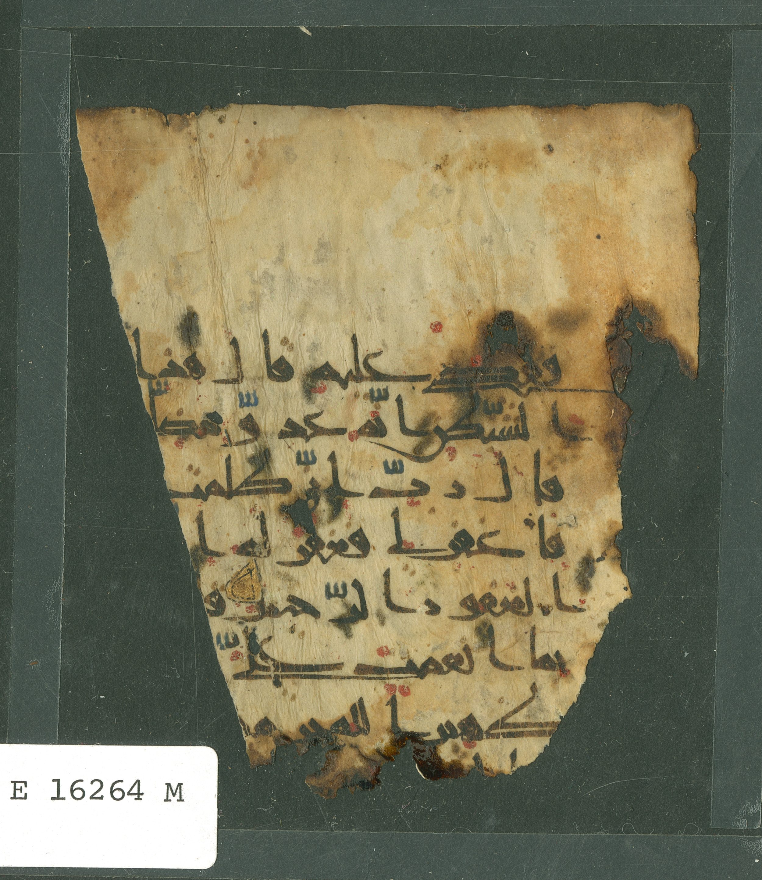 Paris, Bibliothèque nationale de France, Arabe 324 (c) (Scan 3), in Kufic C (Graphie C I a) script, showing Surah 28:16 from 8th Century AD found in Fustat (Old Cairo), Egypt, currently housed at Bibliothèque nationale de France, Paris