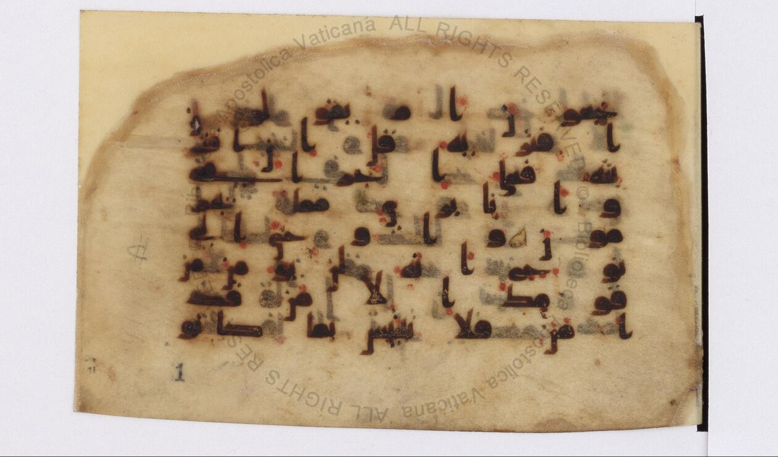 Paris, Bibliothèque nationale de France, Arabe 324 (c) (Scan 1), in Kufic C (Graphie C I a) script, showing Surah 11:35 from 8th Century AD found in Fustat (Old Cairo), Egypt, currently housed at Bibliothèque nationale de France, Paris