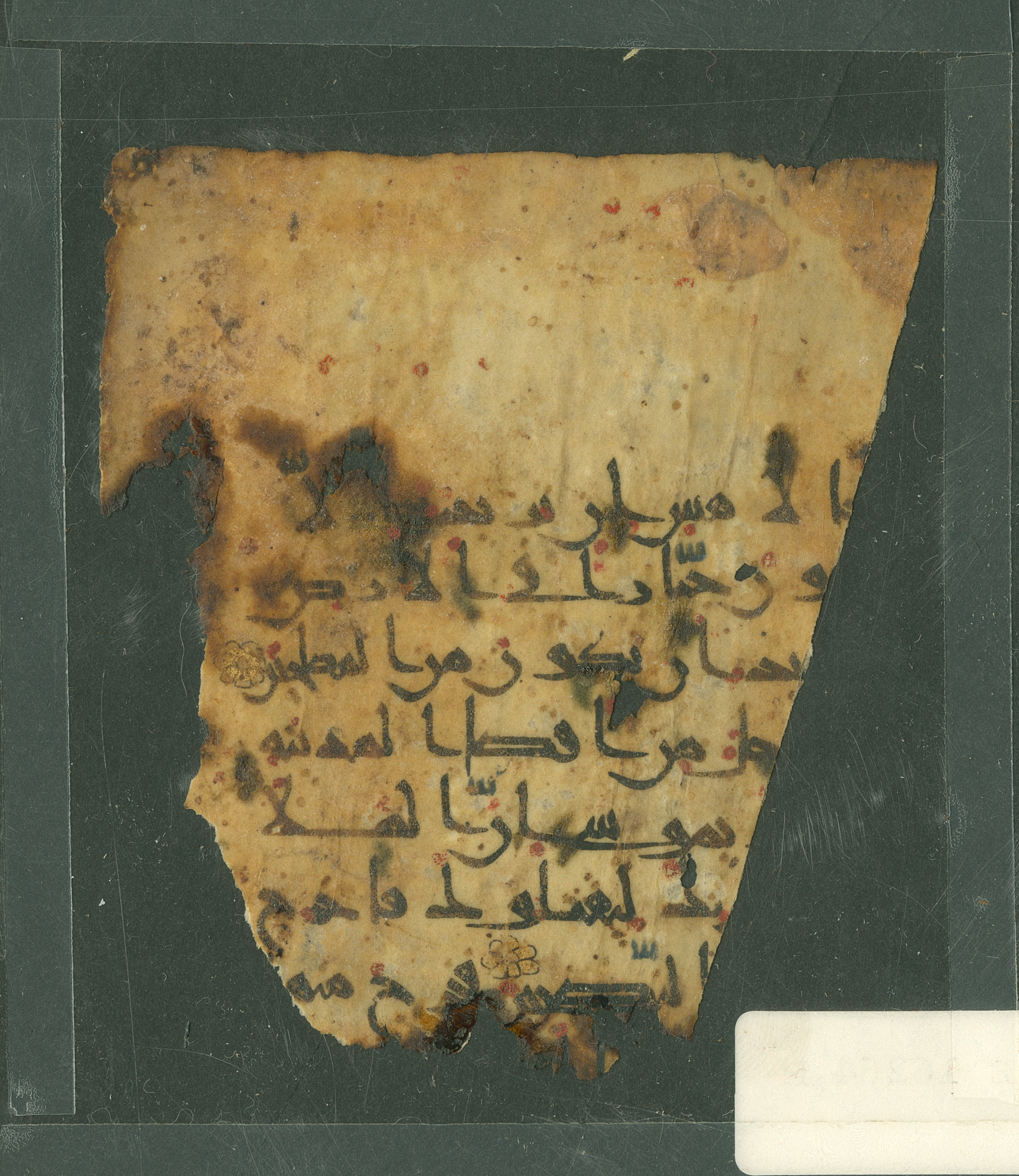 Paris, Bibliothèque nationale de France, Arabe 324 (c) (Scan 1), in Kufic C (Graphie C I a) script, showing Surah 28:20 from 8th Century AD found in Fustat (Old Cairo), Egypt, currently housed at Bibliothèque nationale de France, Paris