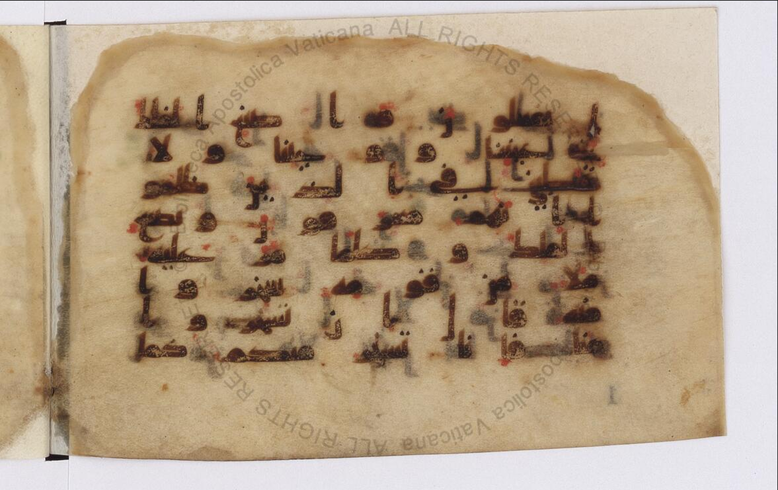 Paris, Bibliothèque nationale de France, Arabe 324 (c) (Scan 1), in Kufic C (Graphie C I a) script, showing Surah 11:37 from 8th Century AD found in Fustat (Old Cairo), Egypt, currently housed at Bibliothèque nationale de France, Paris