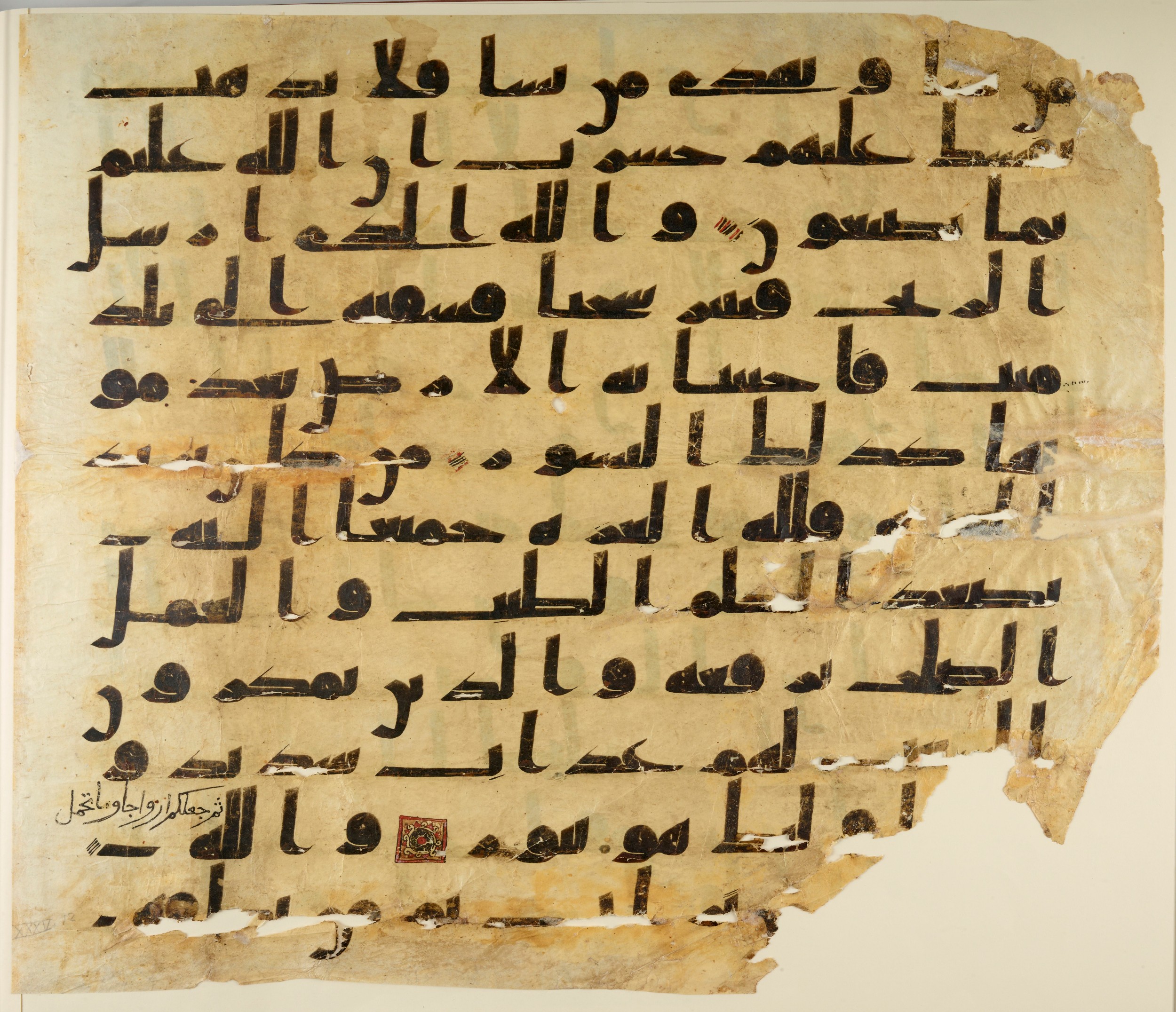 Paris, Bibliothèque nationale de France, Arabe 324 (c) (Scan 1), in Kufic C (Graphie C I a) script, showing Surah 35:9 from 8th Century AD found in Fustat (Old Cairo), Egypt, currently housed at Bibliothèque nationale de France, Paris