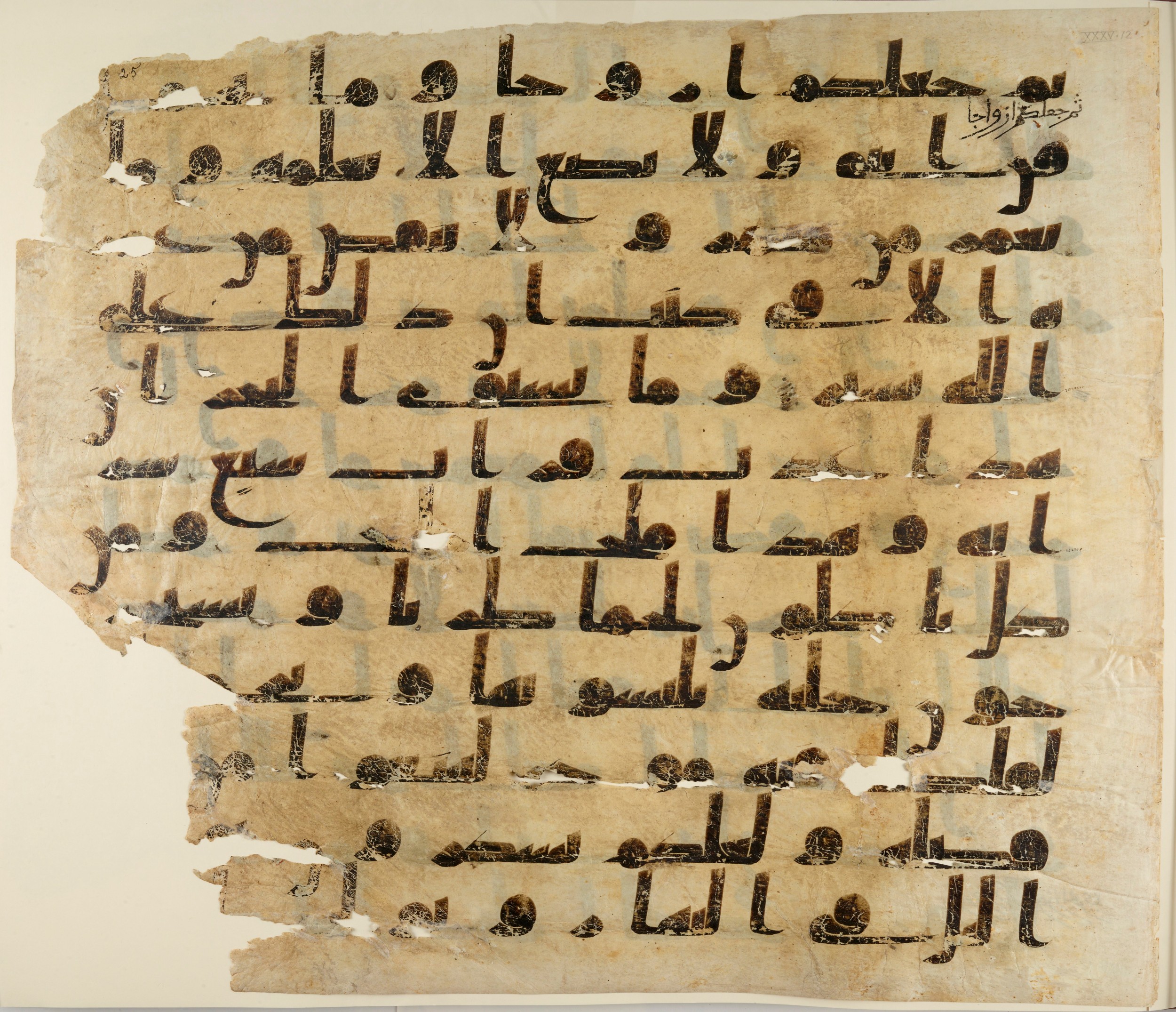 Paris, Bibliothèque nationale de France, Arabe 324 (c) (Scan 1), in Kufic C (Graphie C I a) script, showing Surah 35:12 from 8th Century AD found in Fustat (Old Cairo), Egypt, currently housed at Bibliothèque nationale de France, Paris
