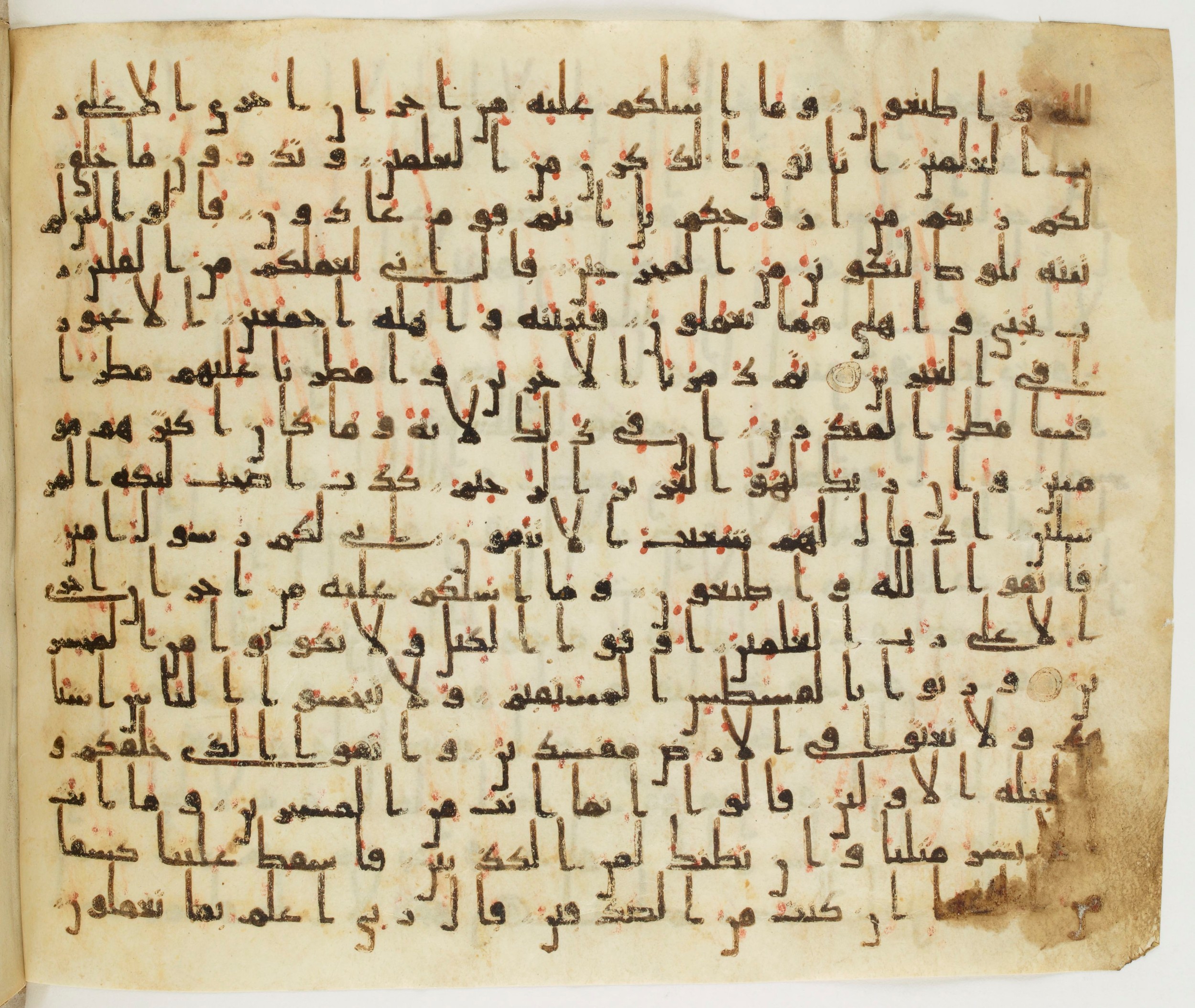 Paris, Bibliothèque nationale de France, Arabe 324 (c) (Scan 2), in Kufic C (Graphie C I a) script, showing Surah 26:175 from 8th Century AD found in Fustat (Old Cairo), Egypt, currently housed at Bibliothèque nationale de France, Paris