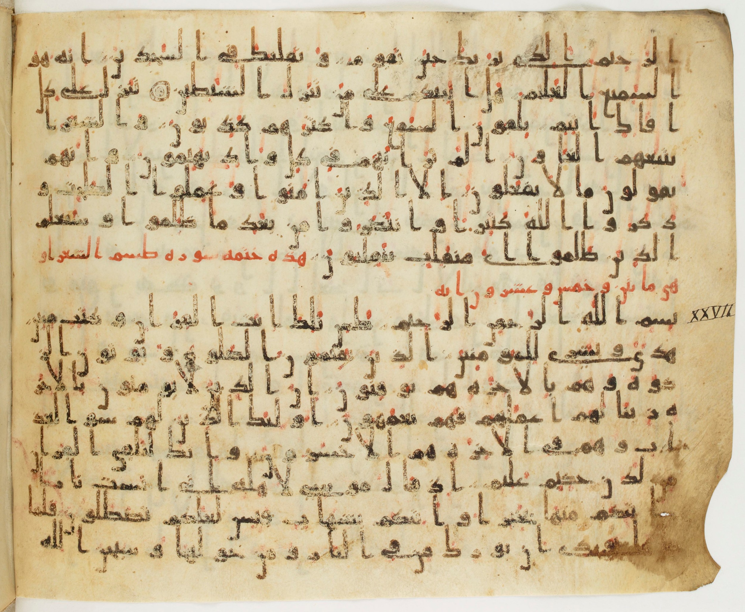 Paris, Bibliothèque nationale de France, Arabe 324 (c) (Scan 2), in Kufic C (Graphie C I a) script, showing Surah 27:3 from 8th Century AD found in Fustat (Old Cairo), Egypt, currently housed at Bibliothèque nationale de France, Paris