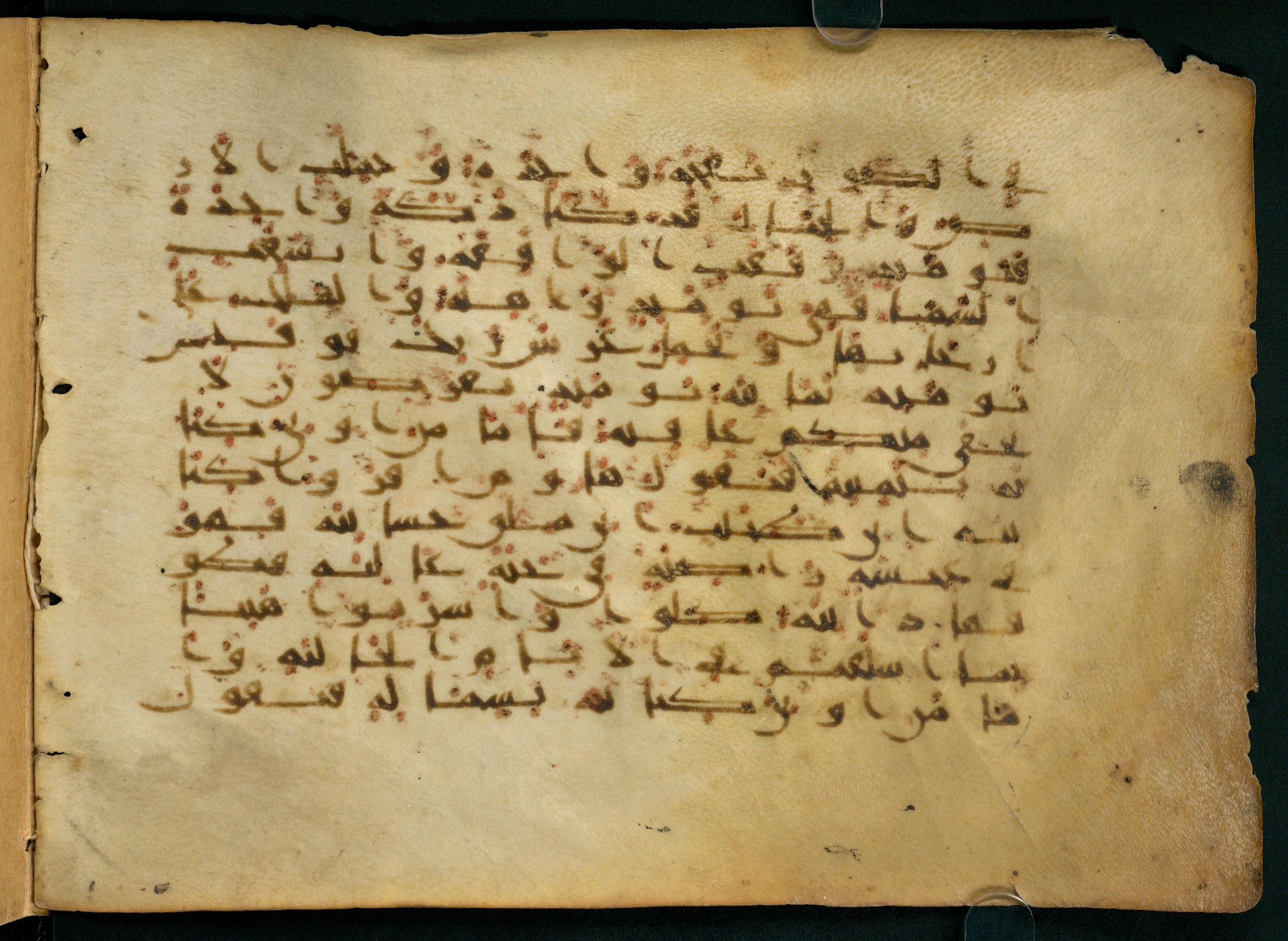 Paris, Bibliothèque nationale de France, Arabe 324 (c) (Scan 2), in Kufic C (Graphie C I a) script, showing Surah 69:21 from 8th Century AD found in Fustat (Old Cairo), Egypt, currently housed at Bibliothèque nationale de France, Paris