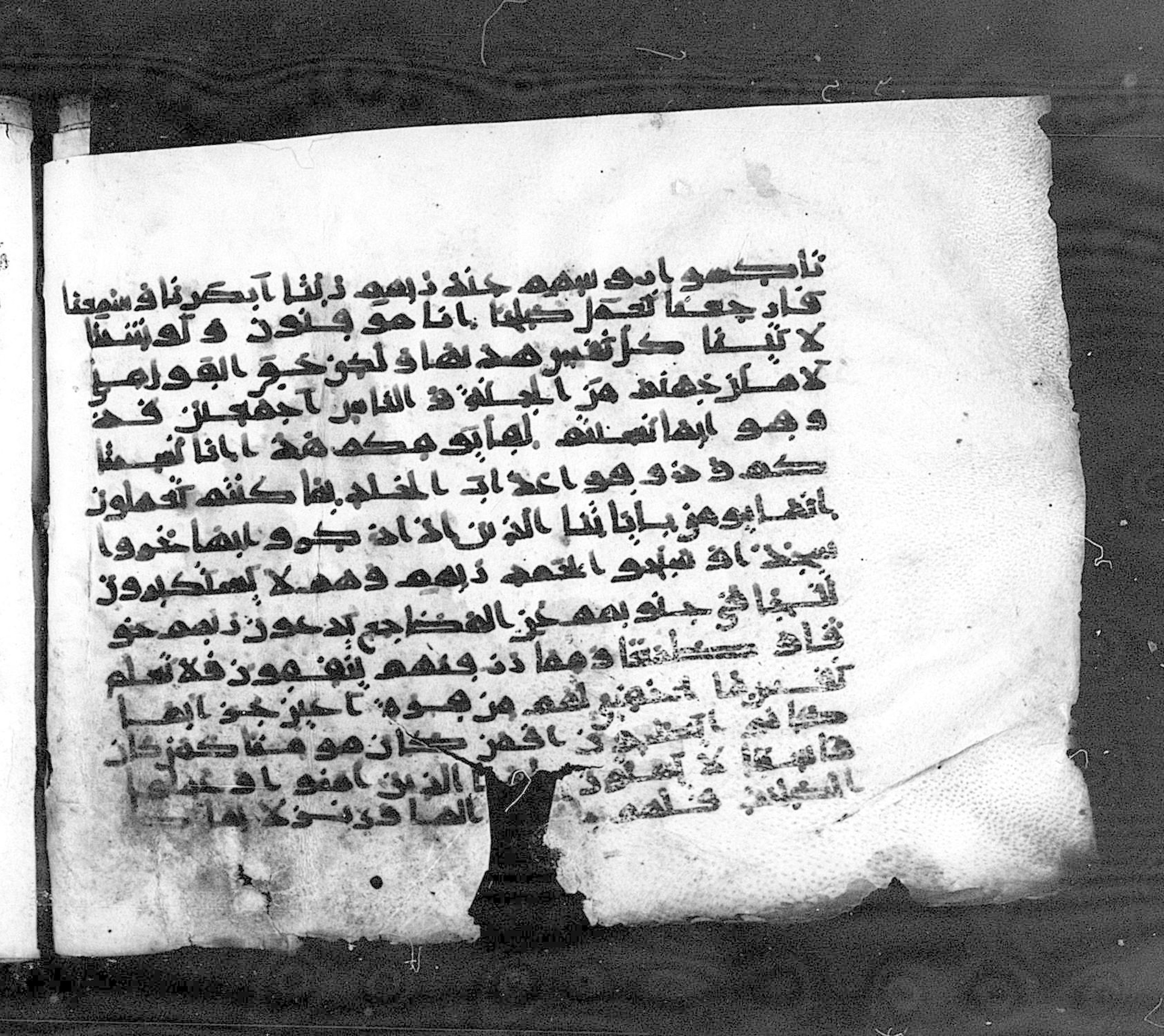 Paris, Bibliothèque nationale de France, Arabe 324 (c) (Scan 1), in Kufic C (Graphie C I a) script, showing Surah 32:18 from 8th Century AD found in Fustat (Old Cairo), Egypt, currently housed at Bibliothèque nationale de France, Paris