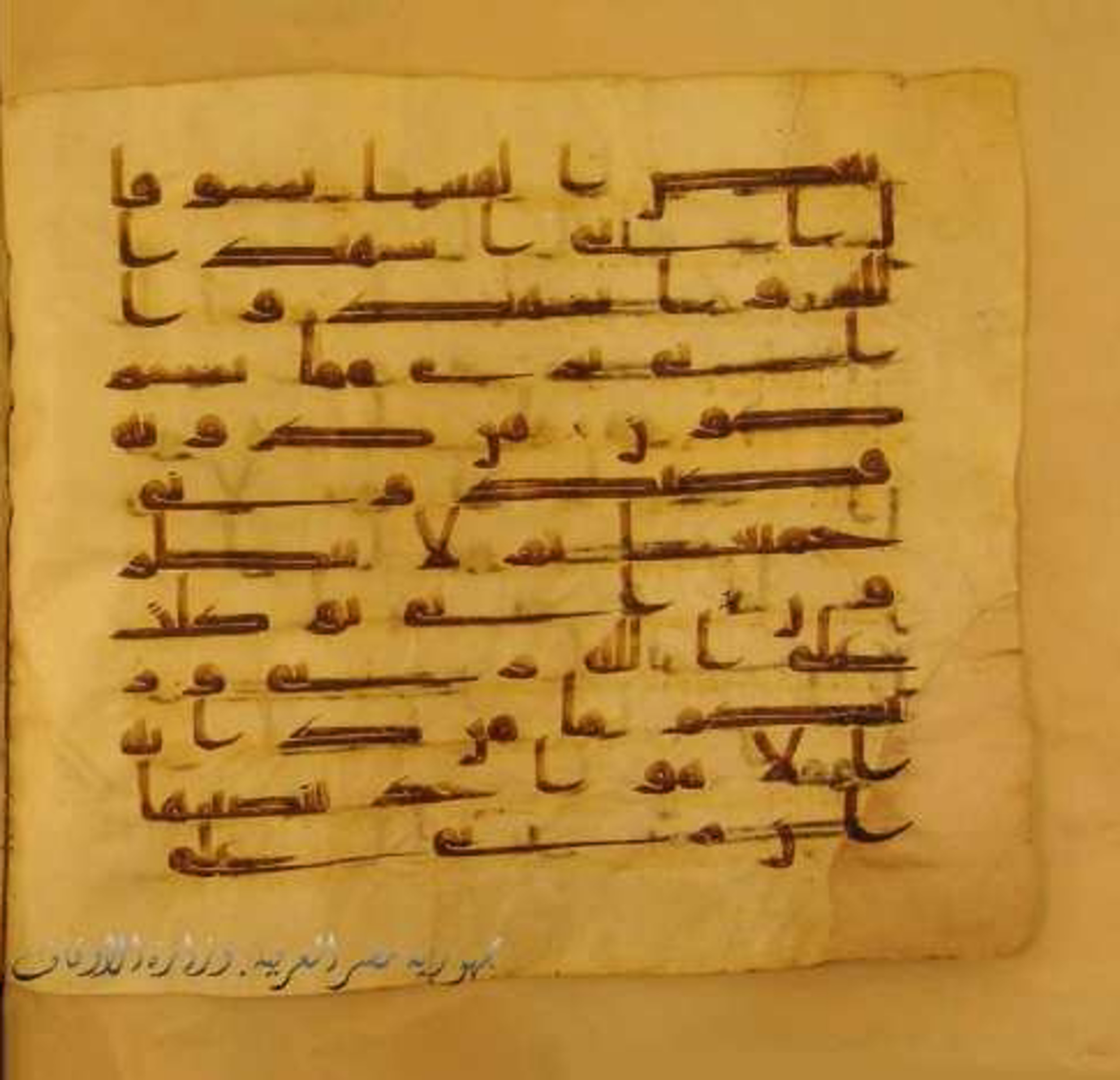 Paris, Bibliothèque nationale de France, Arabe 324 (c) (Scan 2), in Kufic C (Graphie C I a) script, showing Surah 11:56 from 8th Century AD found in Fustat (Old Cairo), Egypt, currently housed at Bibliothèque nationale de France, Paris