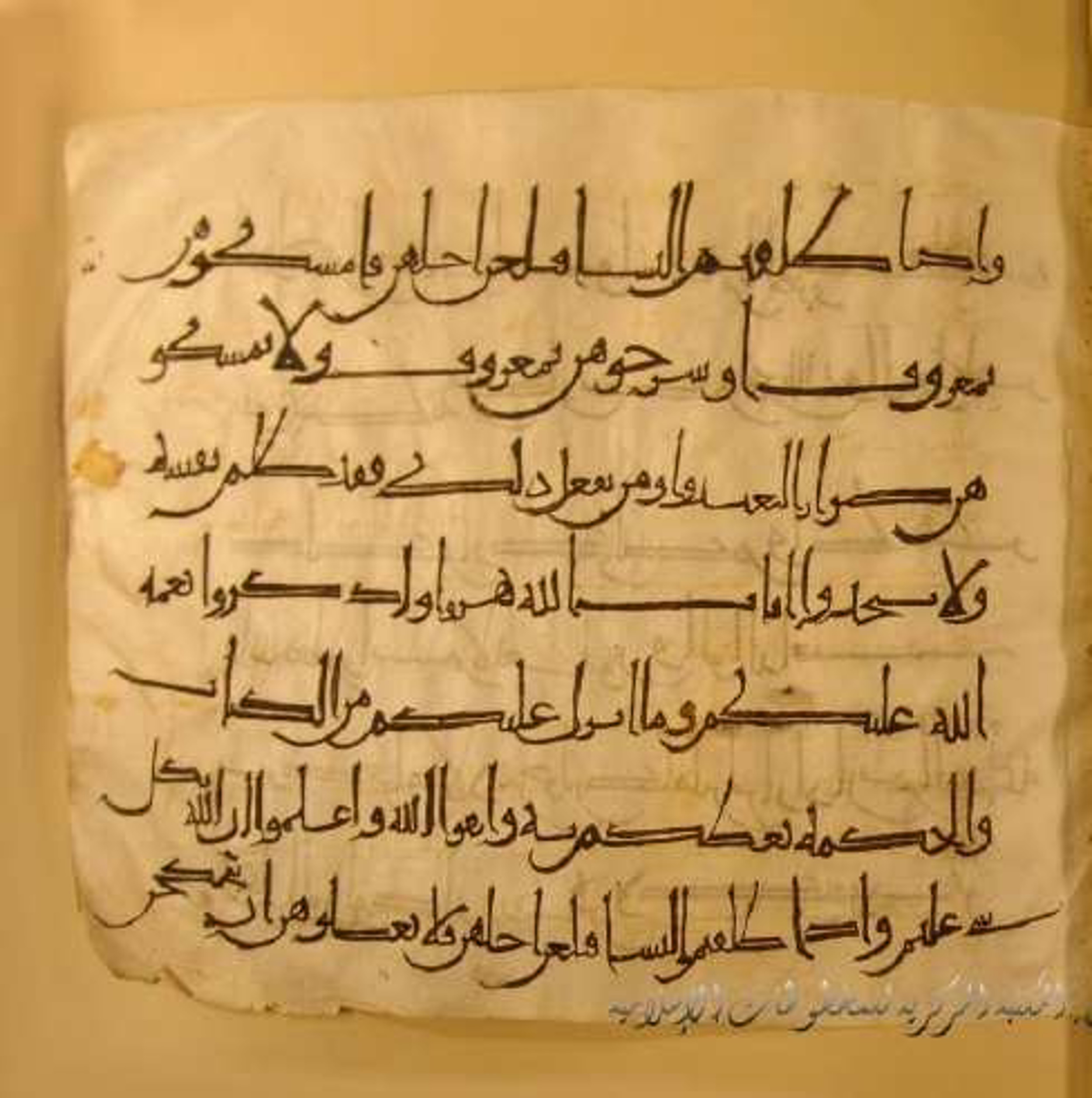 Paris, Bibliothèque nationale de France, Arabe 324 (c) (Scan 4), in Kufic C (Graphie C I a) script, showing Surah 2:232 from 8th Century AD found in Fustat (Old Cairo), Egypt, currently housed at Bibliothèque nationale de France, Paris
