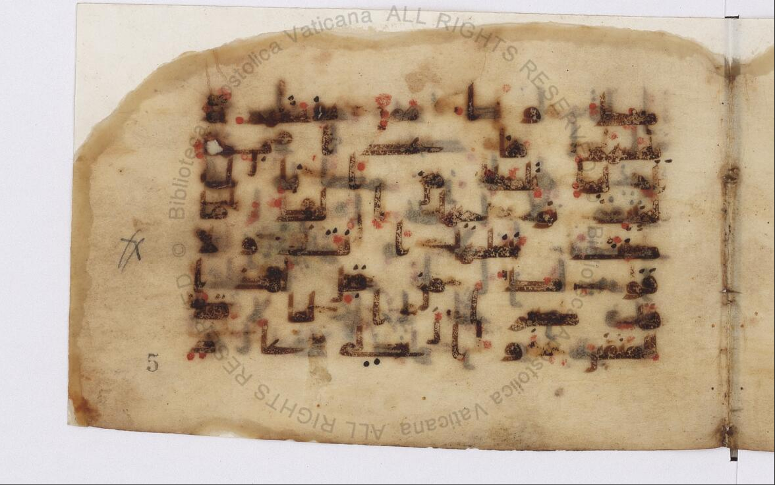 Paris, Bibliothèque nationale de France, Arabe 324 (c) (Scan 4), in Kufic C (Graphie C I a) script, showing Surah 11:49 from 8th Century AD found in Fustat (Old Cairo), Egypt, currently housed at Bibliothèque nationale de France, Paris