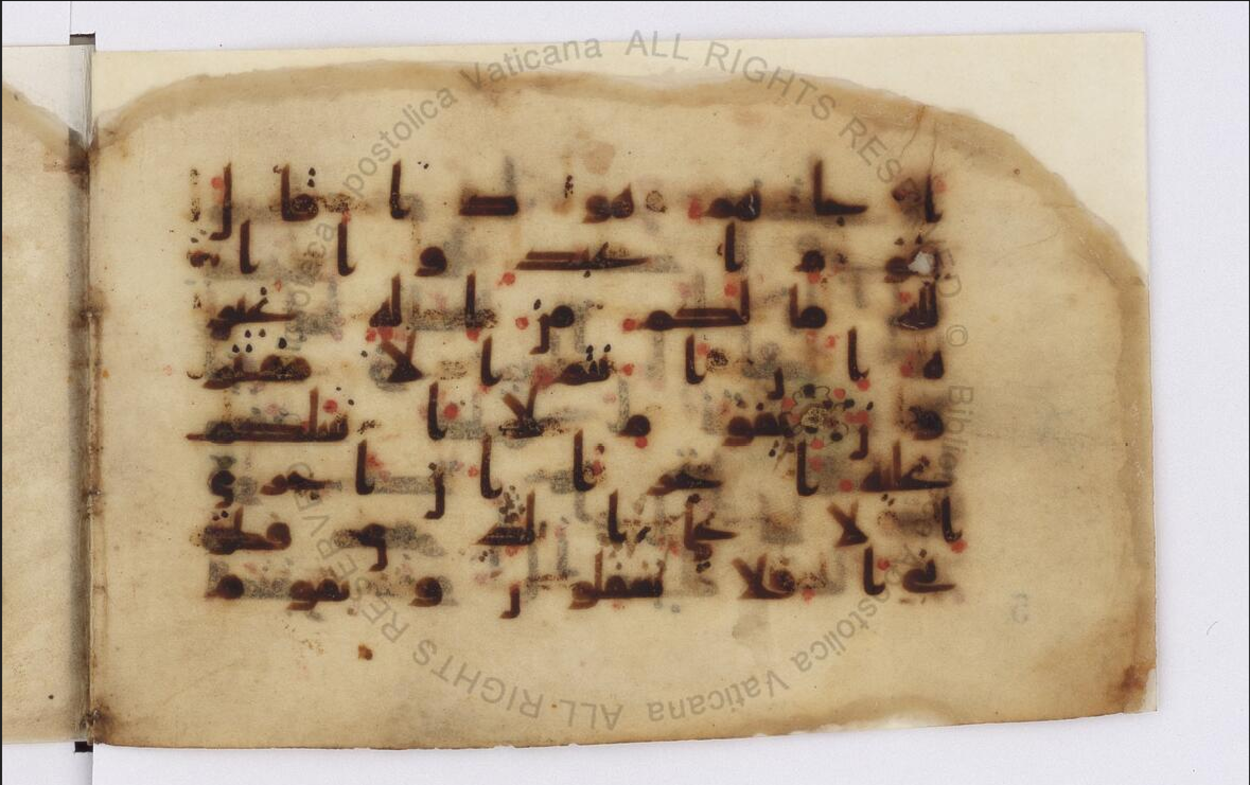 Paris, Bibliothèque nationale de France, Arabe 324 (c) (Scan 3), in Kufic C (Graphie C I a) script, showing Surah 11:51 from 8th Century AD found in Fustat (Old Cairo), Egypt, currently housed at Bibliothèque nationale de France, Paris