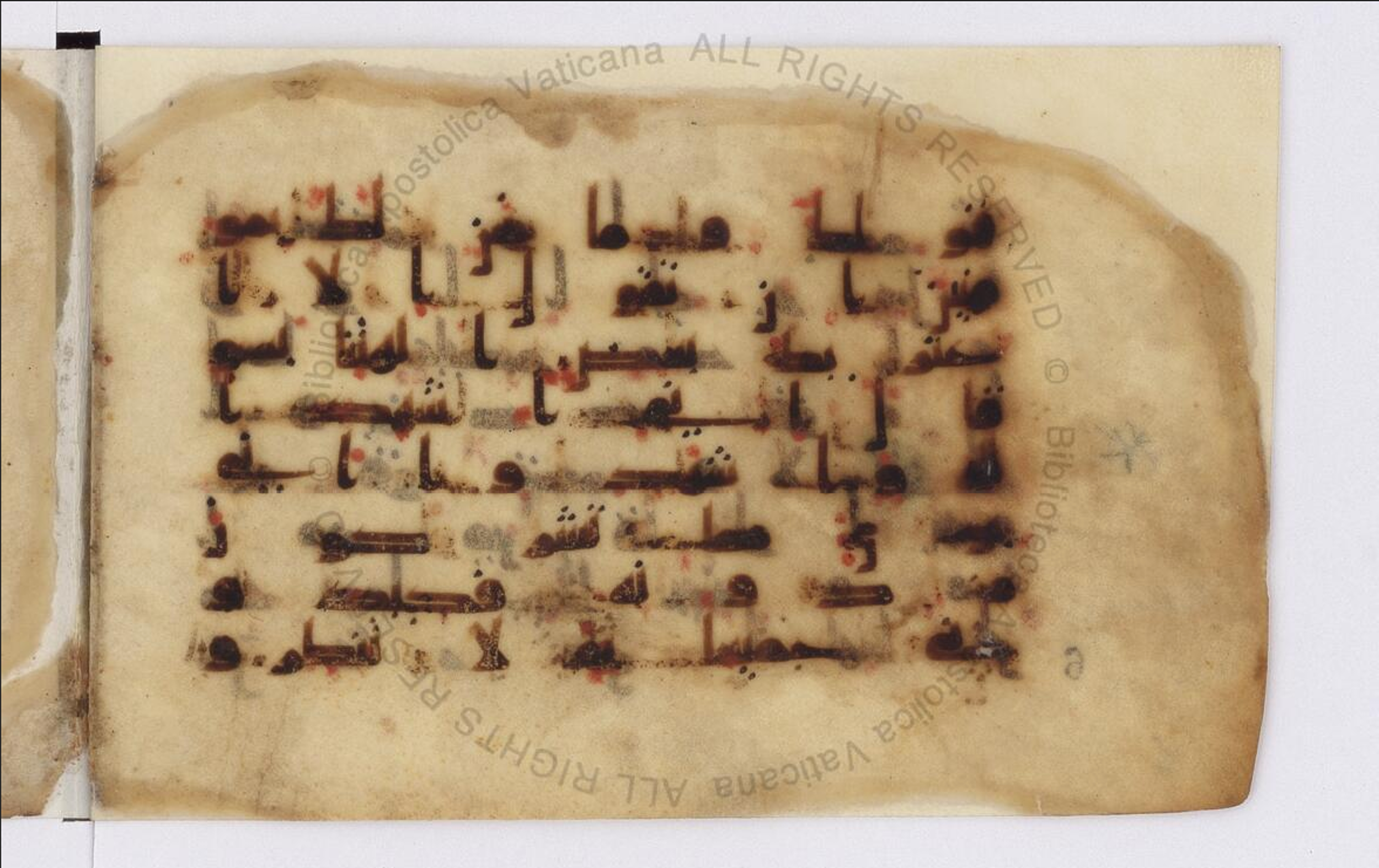 Paris, Bibliothèque nationale de France, Arabe 324 (c) (Scan 3), in Kufic C (Graphie C I a) script, showing Surah 11:55 from 8th Century AD found in Fustat (Old Cairo), Egypt, currently housed at Bibliothèque nationale de France, Paris