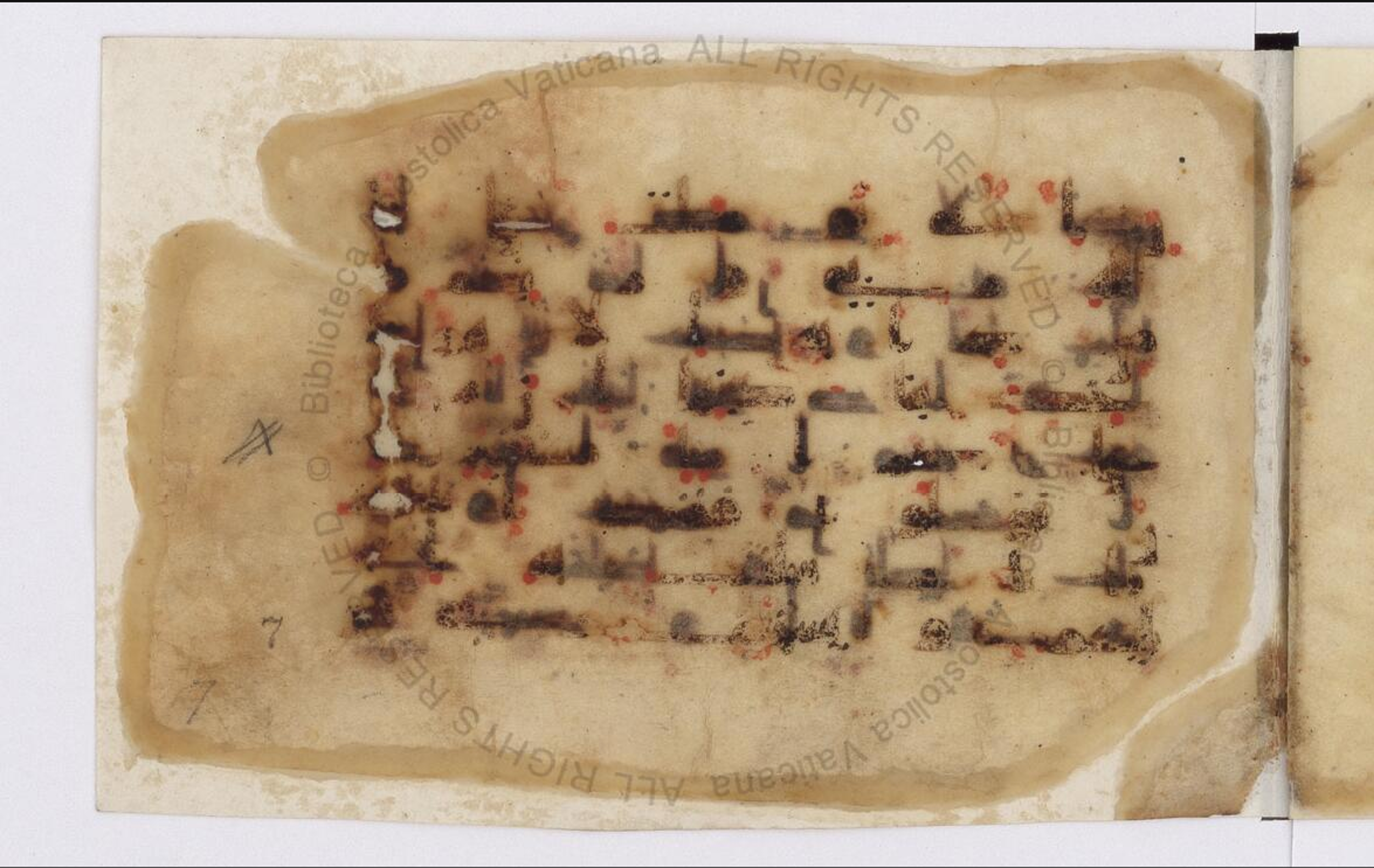 Paris, Bibliothèque nationale de France, Arabe 324 (c) (Scan 4), in Kufic C (Graphie C I a) script, showing Surah 11:56 from 8th Century AD found in Fustat (Old Cairo), Egypt, currently housed at Bibliothèque nationale de France, Paris