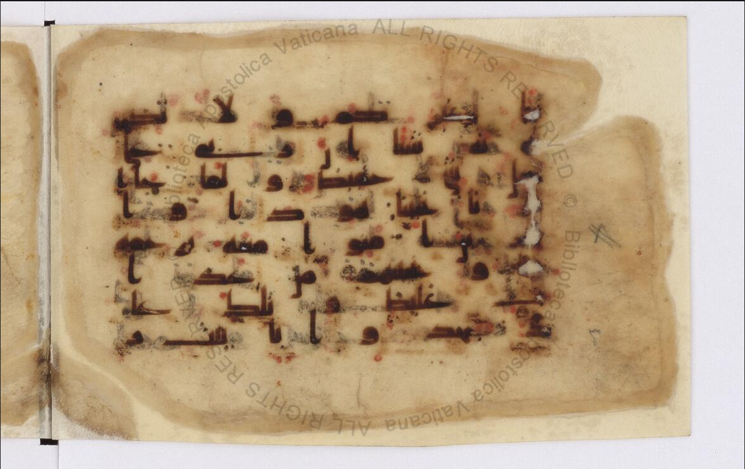 Paris, Bibliothèque nationale de France, Arabe 324 (c) (Scan 3), in Kufic C (Graphie C I a) script, showing Surah 11:59 from 8th Century AD found in Fustat (Old Cairo), Egypt, currently housed at Bibliothèque nationale de France, Paris