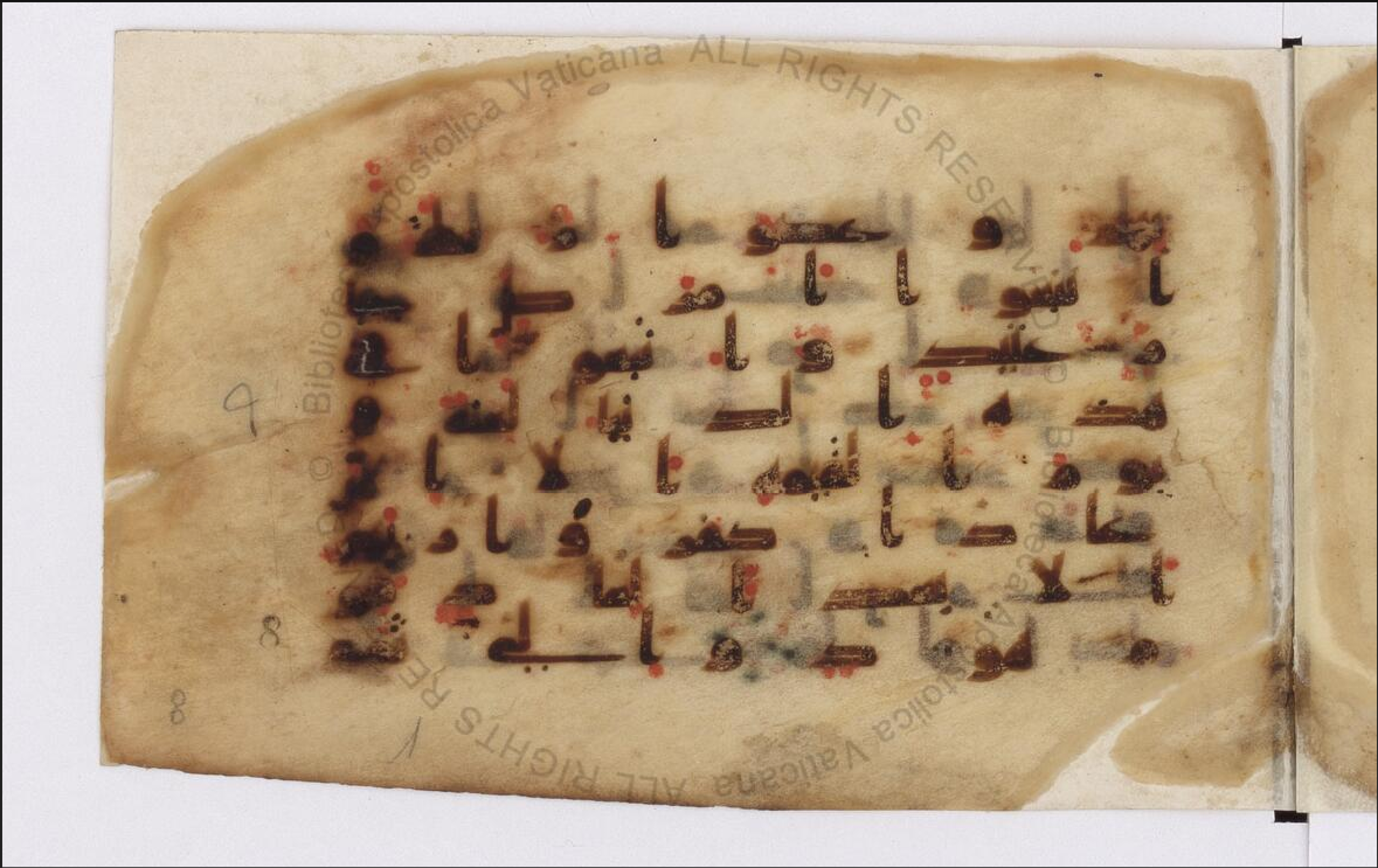 Paris, Bibliothèque nationale de France, Arabe 324 (c) (Scan 4), in Kufic C (Graphie C I a) script, showing Surah 11:59 from 8th Century AD found in Fustat (Old Cairo), Egypt, currently housed at Bibliothèque nationale de France, Paris