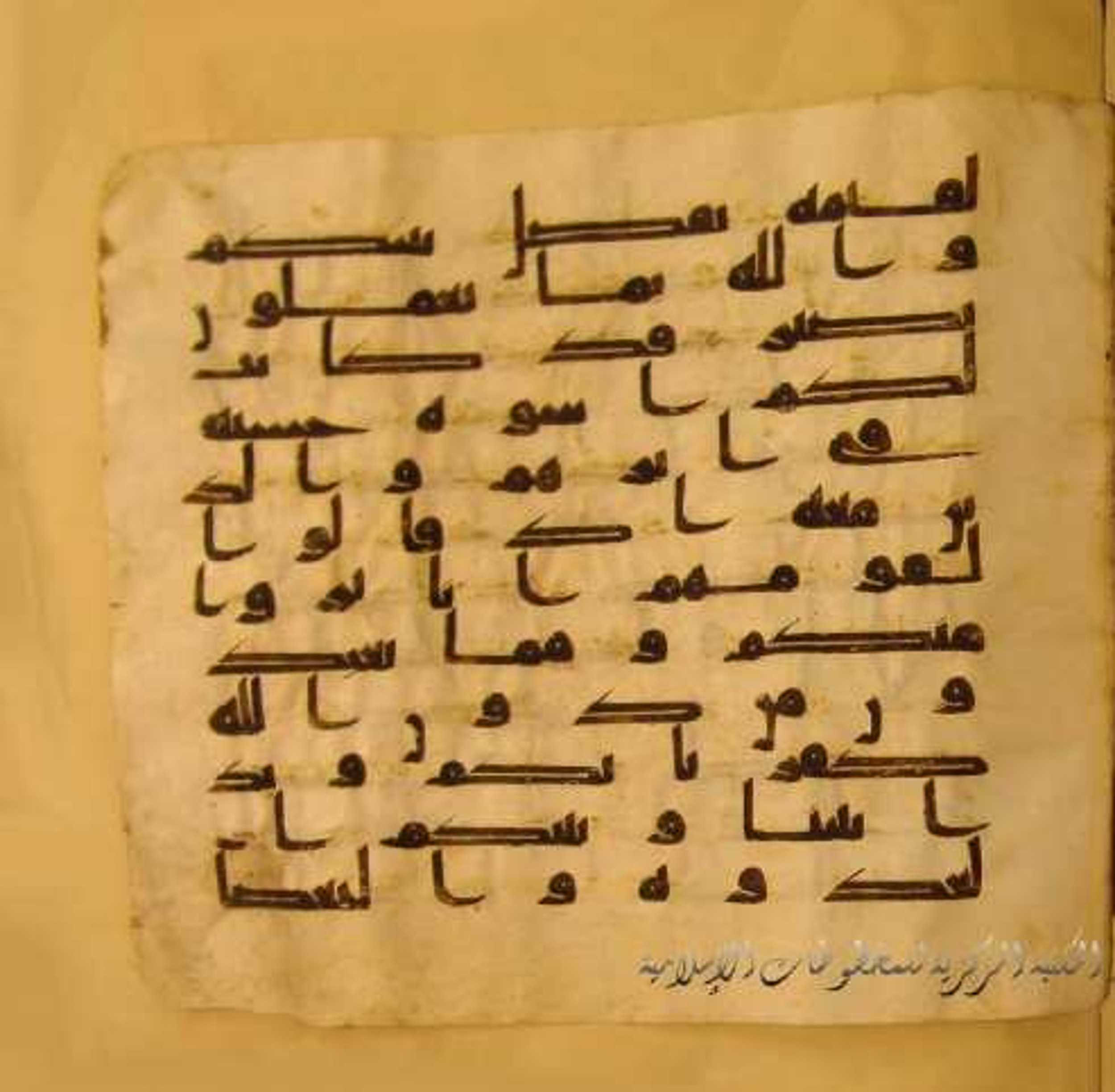 Paris, Bibliothèque nationale de France, Arabe 324 (c) (Scan 2), in Kufic C (Graphie C I a) script, showing Surah 60:3 from 8th Century AD found in Fustat (Old Cairo), Egypt, currently housed at Bibliothèque nationale de France, Paris