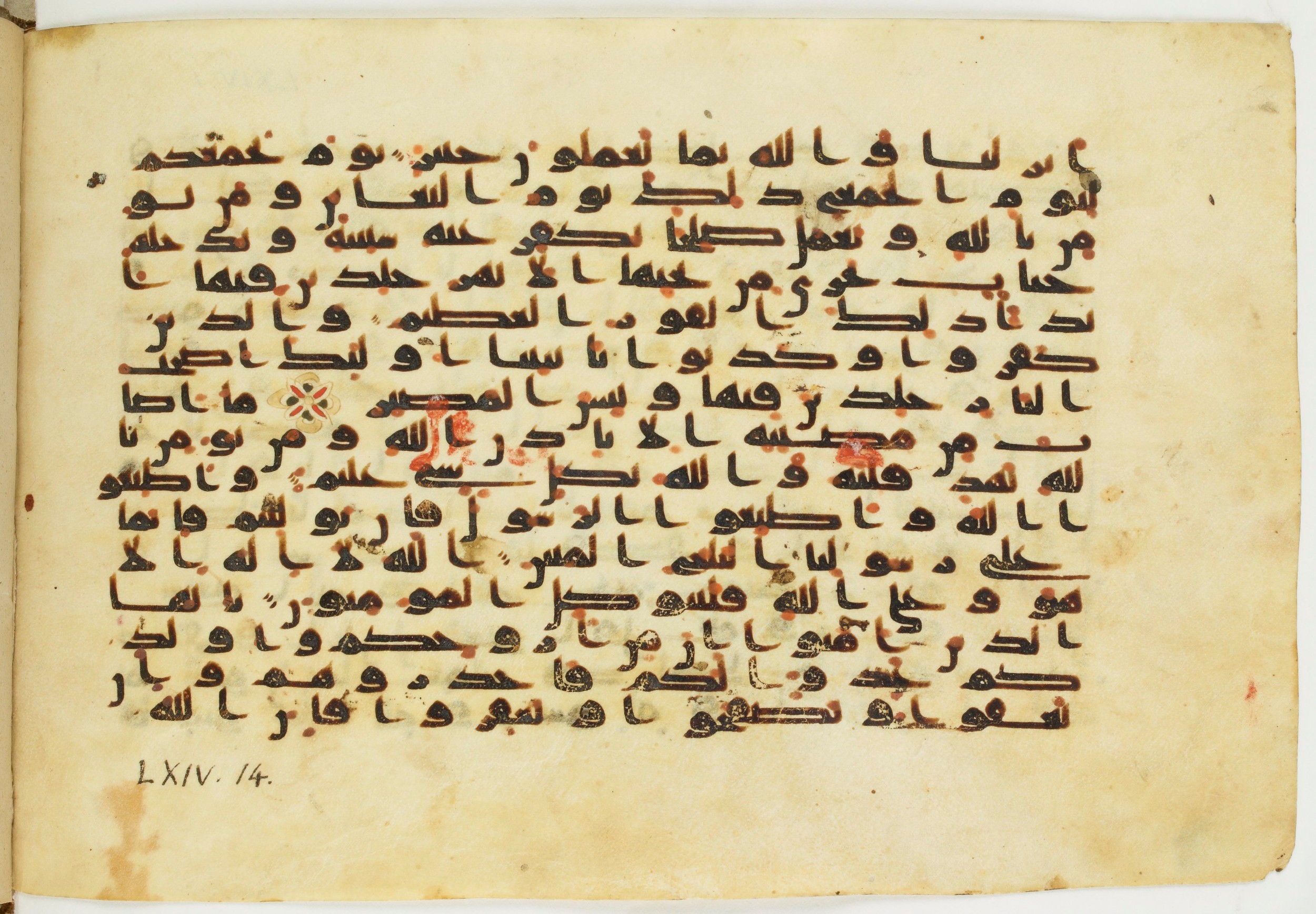 Paris, Bibliothèque nationale de France, Arabe 326 (c) (Scan 2), in Kūfī C.III script, showing Surah 64:13 from 8th to 9th Century AD found in Fustat (Old Cairo), Egypt, currently housed at Bibliothèque nationale de France, Paris