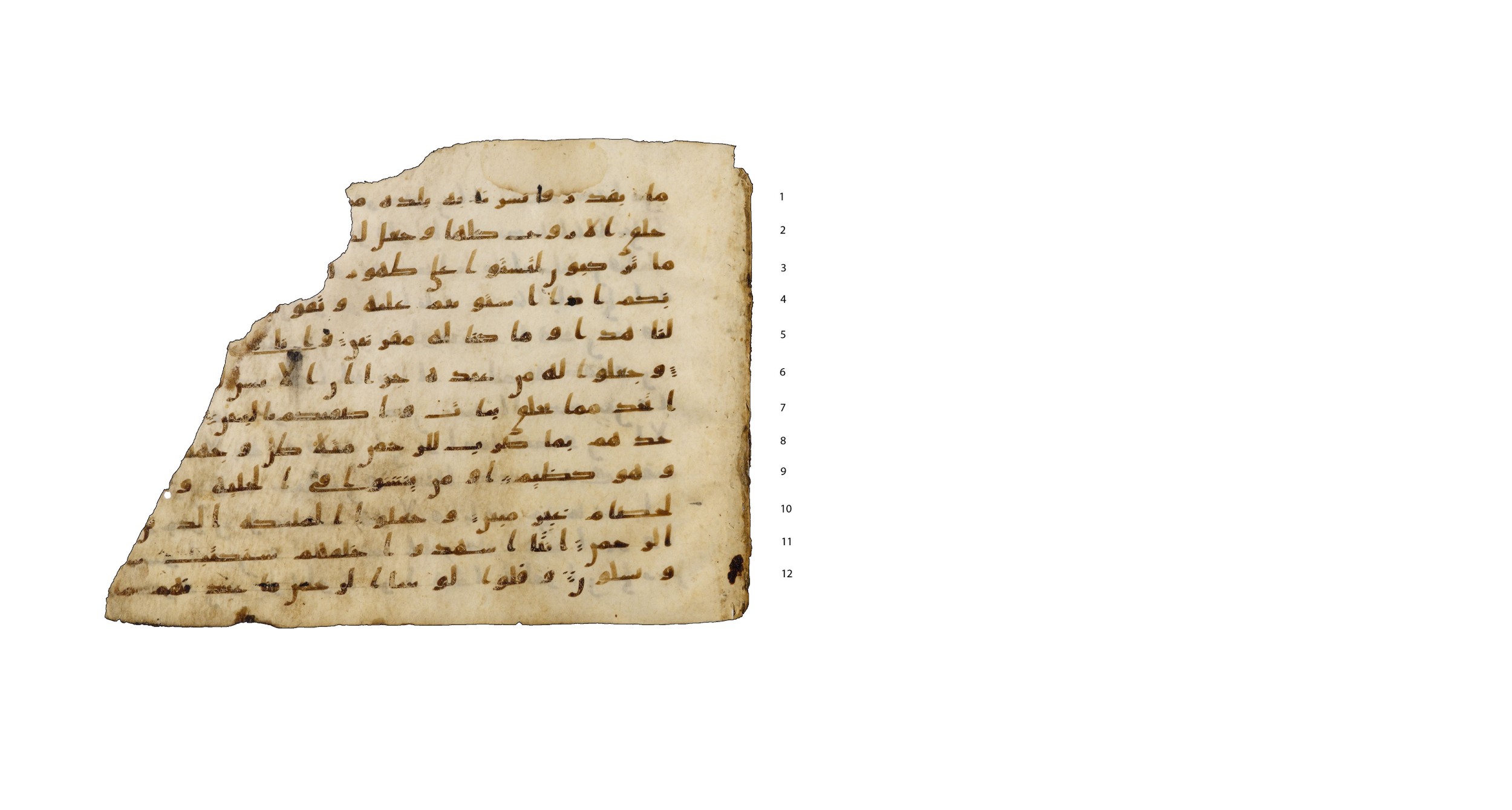 Codex Amrensis 1, in Ḥiǧāzī I script, showing Surah 43:13 from Early to Mid 8th Century AD found in Fustat (Old Cairo), Egypt, currently housed at Bibliothèque nationale de France, Paris