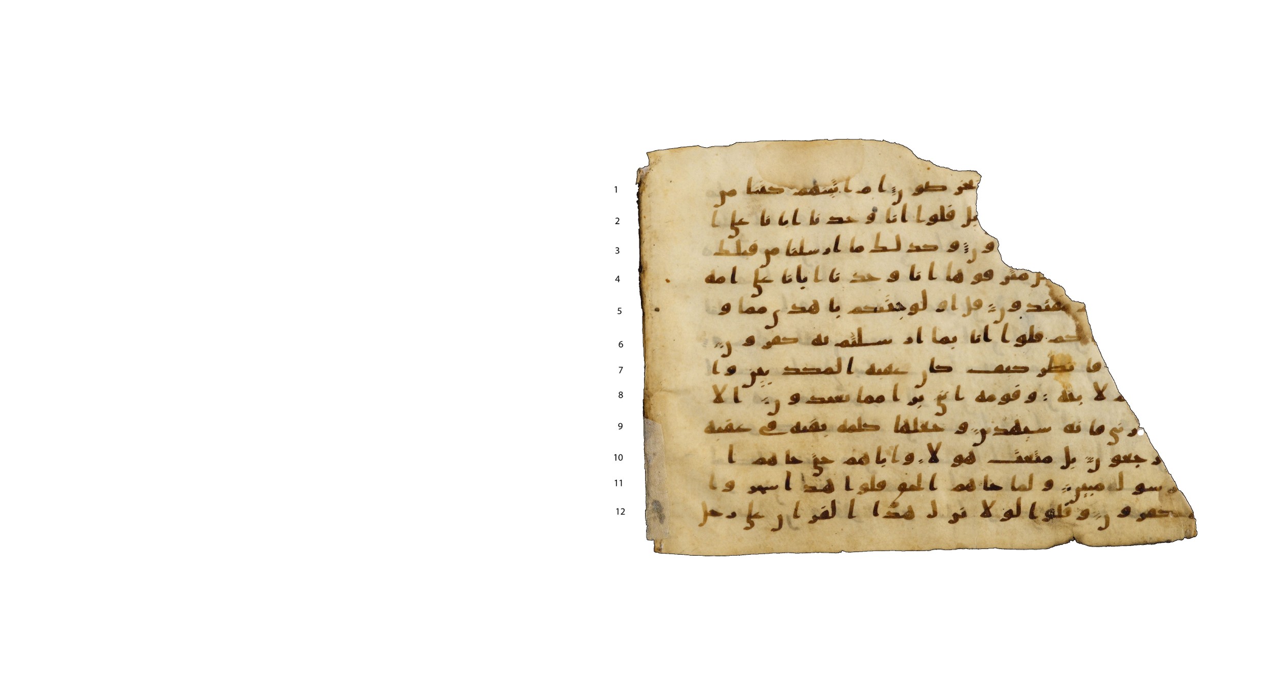 Codex Amrensis 1, in Ḥiǧāzī I script, showing Surah 43:21 from Early to Mid 8th Century AD found in Fustat (Old Cairo), Egypt, currently housed at Bibliothèque nationale de France, Paris