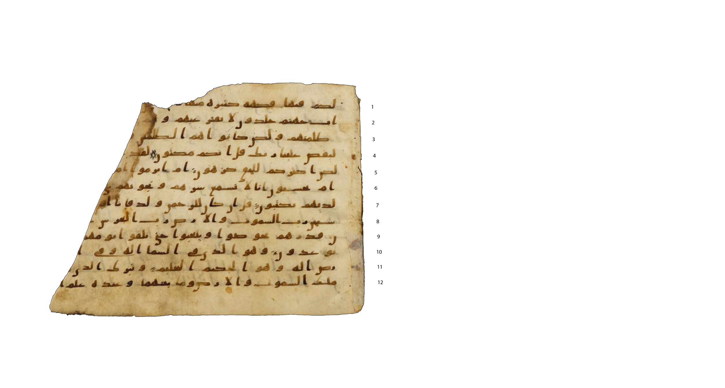 Codex Amrensis 1, in Ḥiǧāzī I script, showing Surah 43:76 from Early to Mid 8th Century AD found in Fustat (Old Cairo), Egypt, currently housed at Bibliothèque nationale de France, Paris