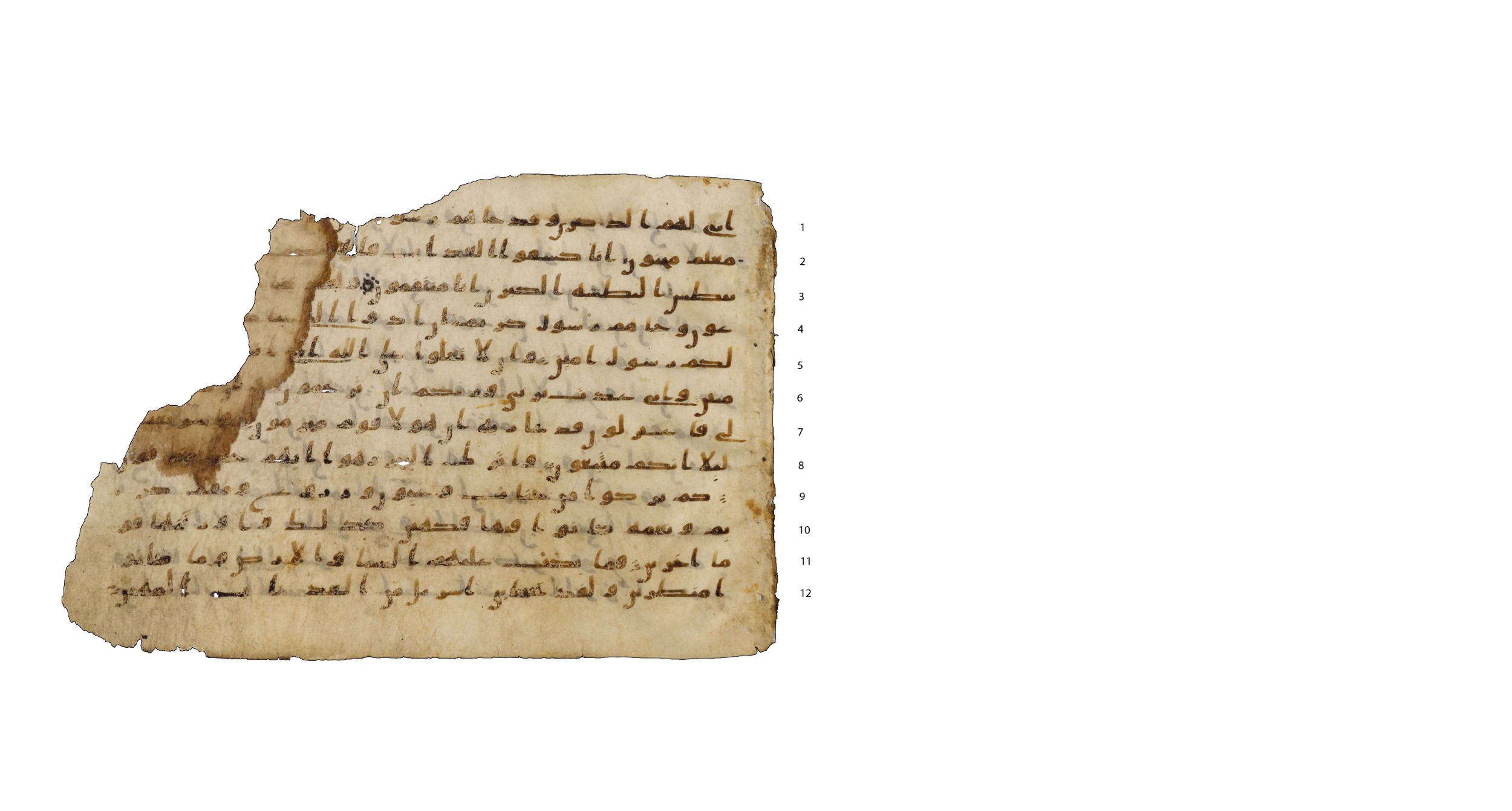Codex Amrensis 1, in Ḥiǧāzī I script, showing Surah 44:21 from Early to Mid 8th Century AD found in Fustat (Old Cairo), Egypt, currently housed at Bibliothèque nationale de France, Paris