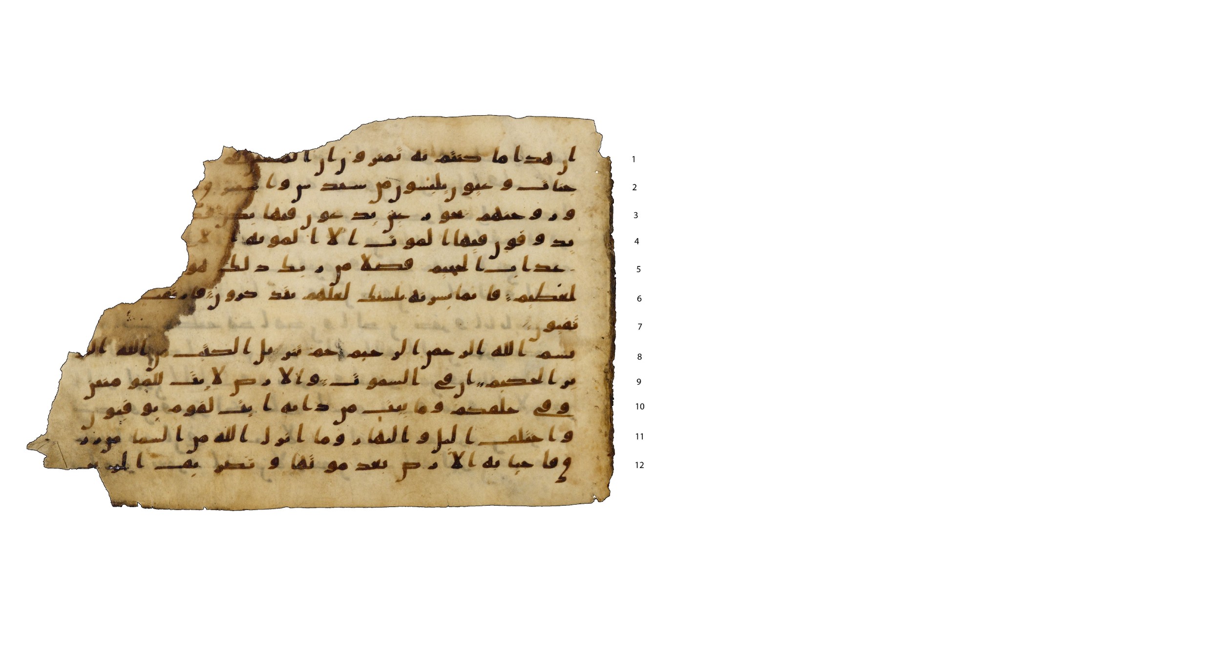 Codex Amrensis 1, in Ḥiǧāzī I script, showing Surah 45:2 from Early to Mid 8th Century AD found in Fustat (Old Cairo), Egypt, currently housed at Bibliothèque nationale de France, Paris