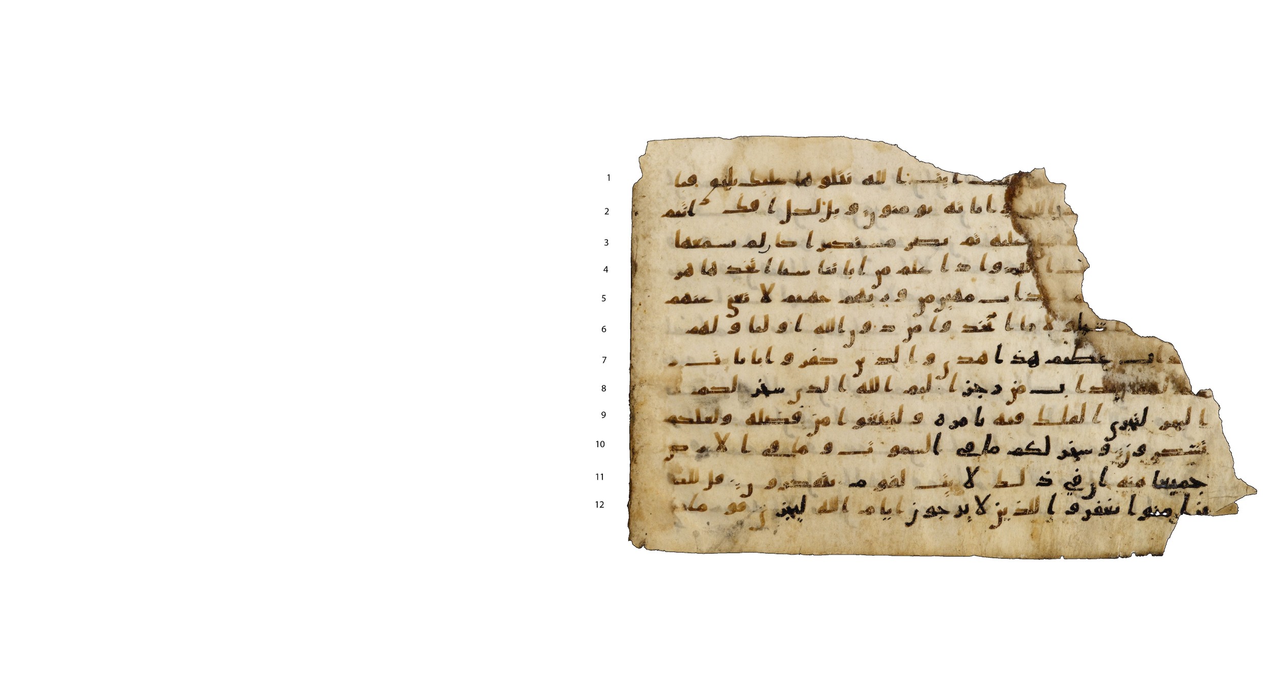 Codex Amrensis 1, in Ḥiǧāzī I script, showing Surah 45:13 from Early to Mid 8th Century AD found in Fustat (Old Cairo), Egypt, currently housed at Bibliothèque nationale de France, Paris