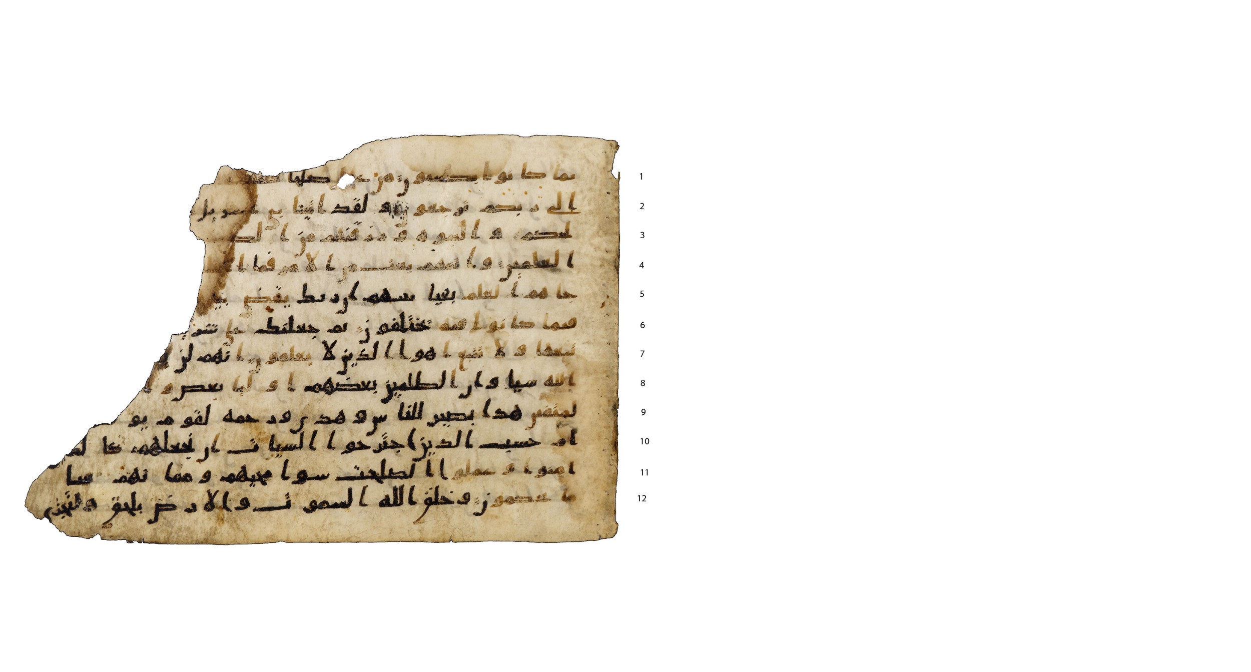Codex Amrensis 1, in Ḥiǧāzī I script, showing Surah 45:16 from Early to Mid 8th Century AD found in Fustat (Old Cairo), Egypt, currently housed at Bibliothèque nationale de France, Paris