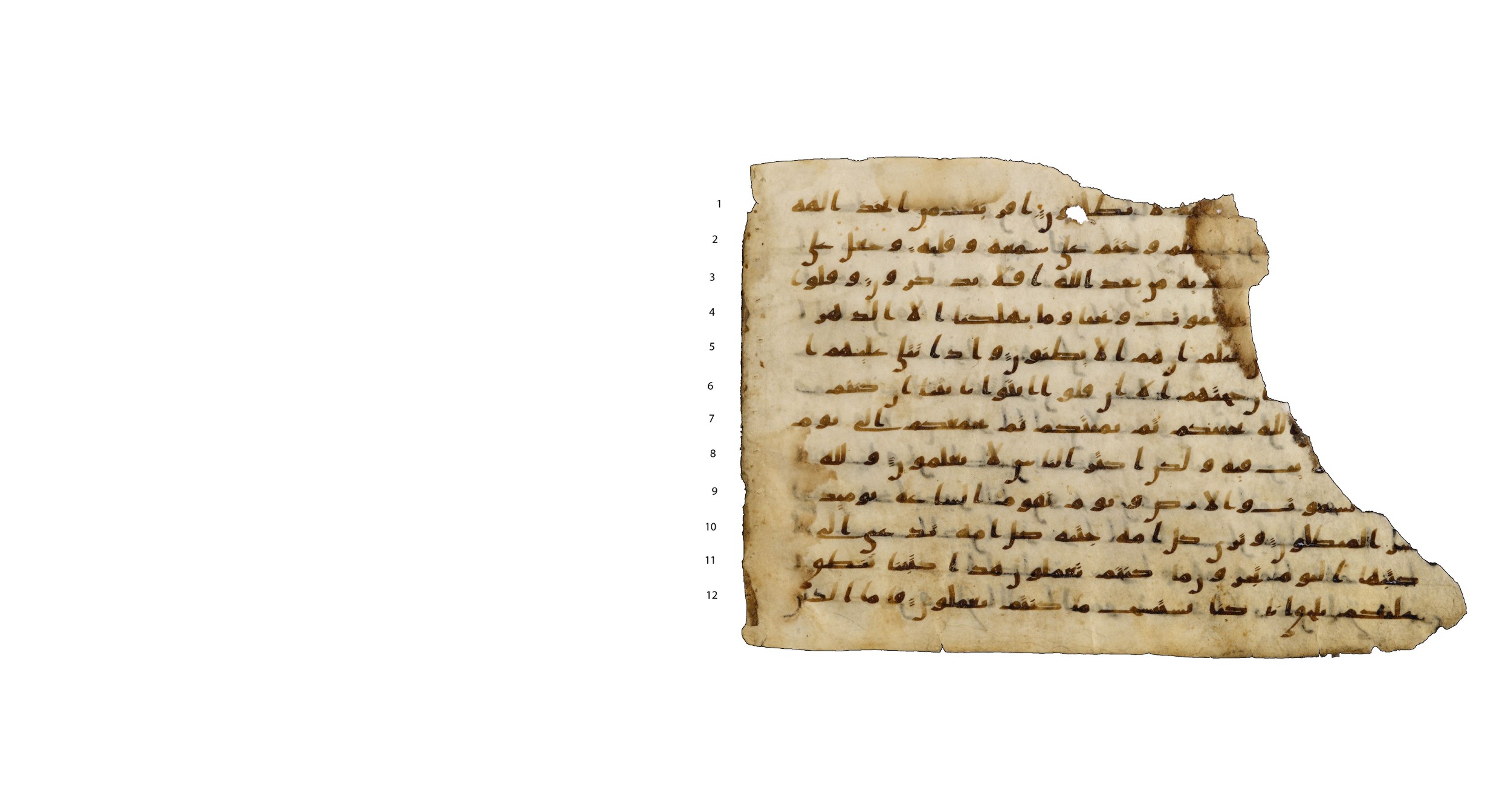 Codex Amrensis 1, in Ḥiǧāzī I script, showing Surah 45:29 from Early to Mid 8th Century AD found in Fustat (Old Cairo), Egypt, currently housed at Bibliothèque nationale de France, Paris