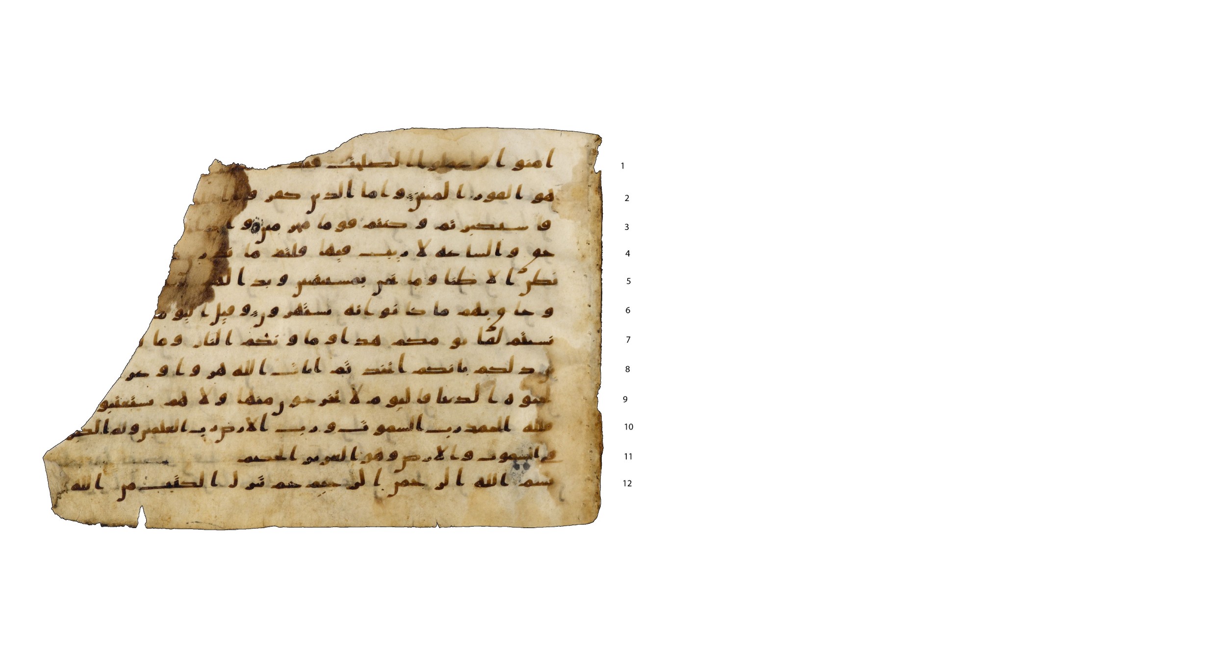 Codex Amrensis 1 (Scan 1), in Ḥiǧāzī I script, showing Surah 46:2 from Early to Mid 8th Century AD found in Fustat (Old Cairo), Egypt, currently housed at Bibliothèque nationale de France, Paris