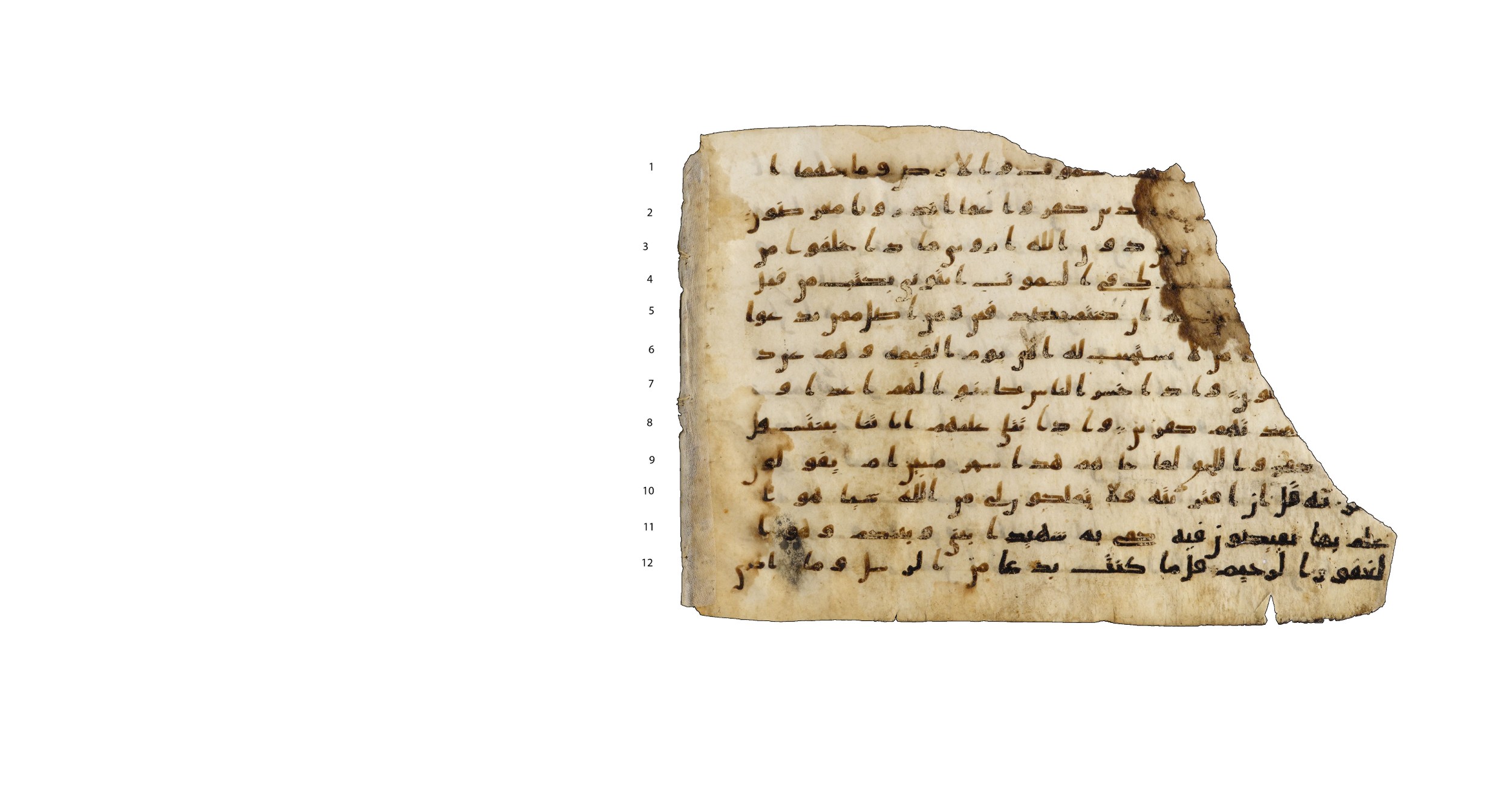 Codex Amrensis 1 (Scan 2), in Ḥiǧāzī I script, showing Surah 46:2 from Early to Mid 8th Century AD found in Fustat (Old Cairo), Egypt, currently housed at Bibliothèque nationale de France, Paris