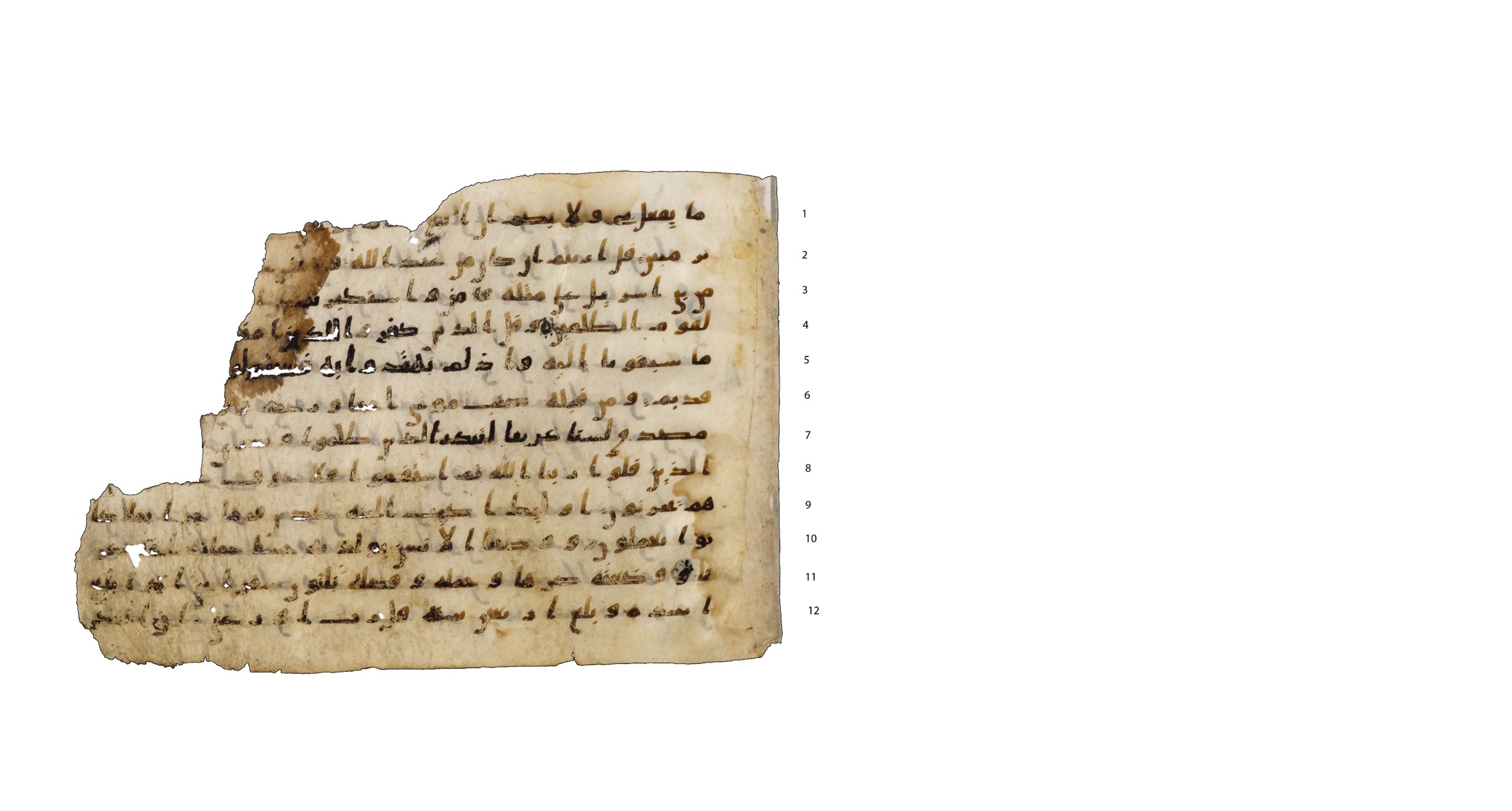 Codex Amrensis 1, in Ḥiǧāzī I script, showing Surah 46:13 from Early to Mid 8th Century AD found in Fustat (Old Cairo), Egypt, currently housed at Bibliothèque nationale de France, Paris