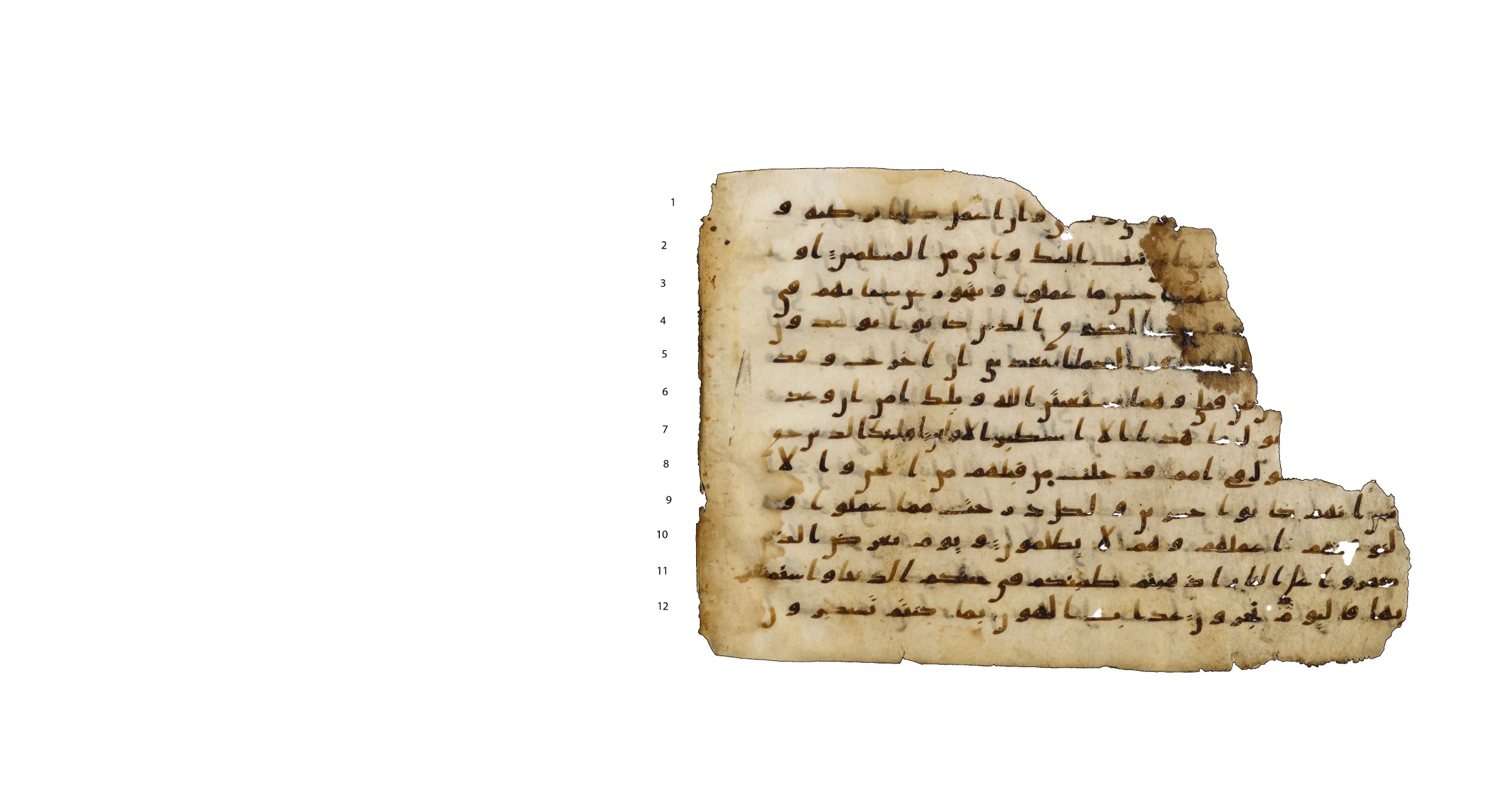 Codex Amrensis 1, in Ḥiǧāzī I script, showing Surah 46:16 from Early to Mid 8th Century AD found in Fustat (Old Cairo), Egypt, currently housed at Bibliothèque nationale de France, Paris