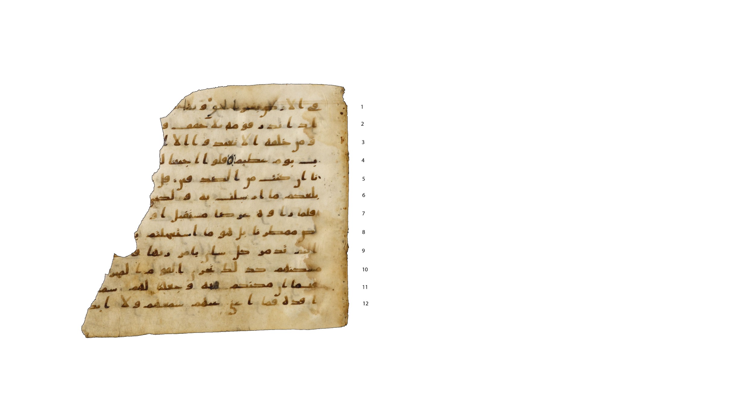 Codex Amrensis 1, in Ḥiǧāzī I script, showing Surah 46:23 from Early to Mid 8th Century AD found in Fustat (Old Cairo), Egypt, currently housed at Bibliothèque nationale de France, Paris