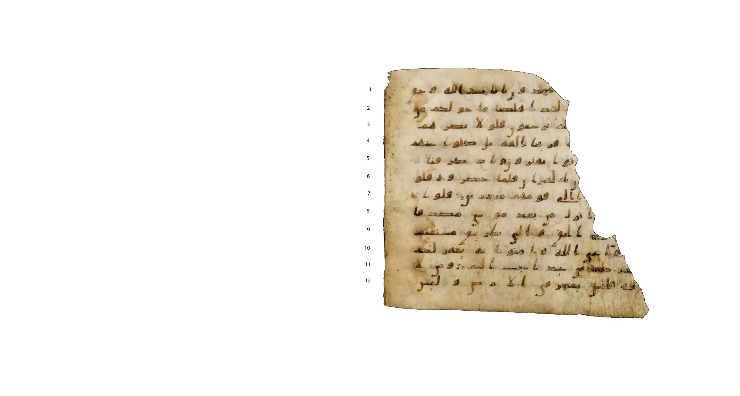 Codex Amrensis 1 (Scan 1), in Ḥiǧāzī I script, showing Surah 46:32 from Early to Mid 8th Century AD found in Fustat (Old Cairo), Egypt, currently housed at Bibliothèque nationale de France, Paris