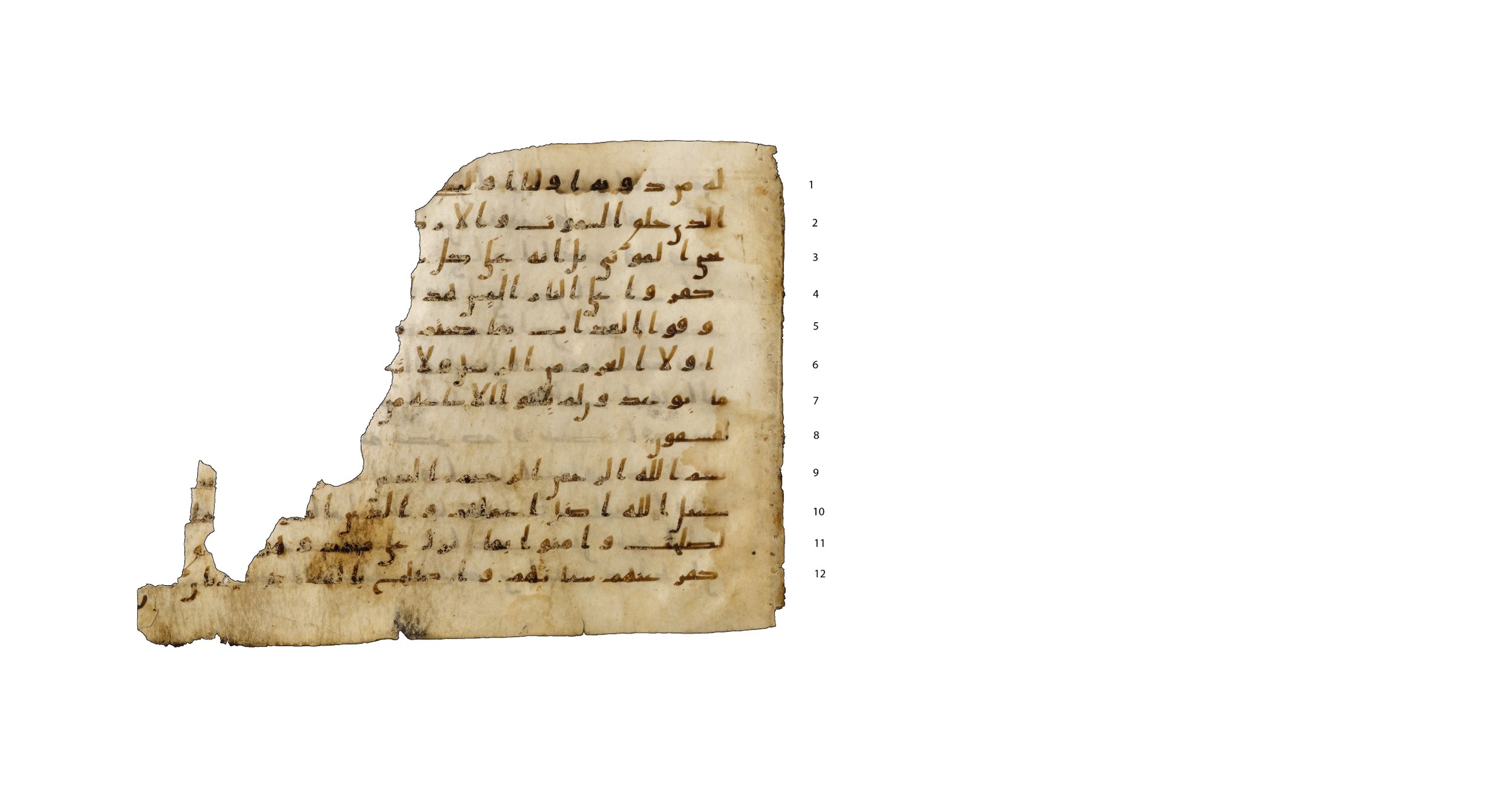 Codex Amrensis 1, in Ḥiǧāzī I script, showing Surah 47:2 from Early to Mid 8th Century AD found in Fustat (Old Cairo), Egypt, currently housed at Bibliothèque nationale de France, Paris