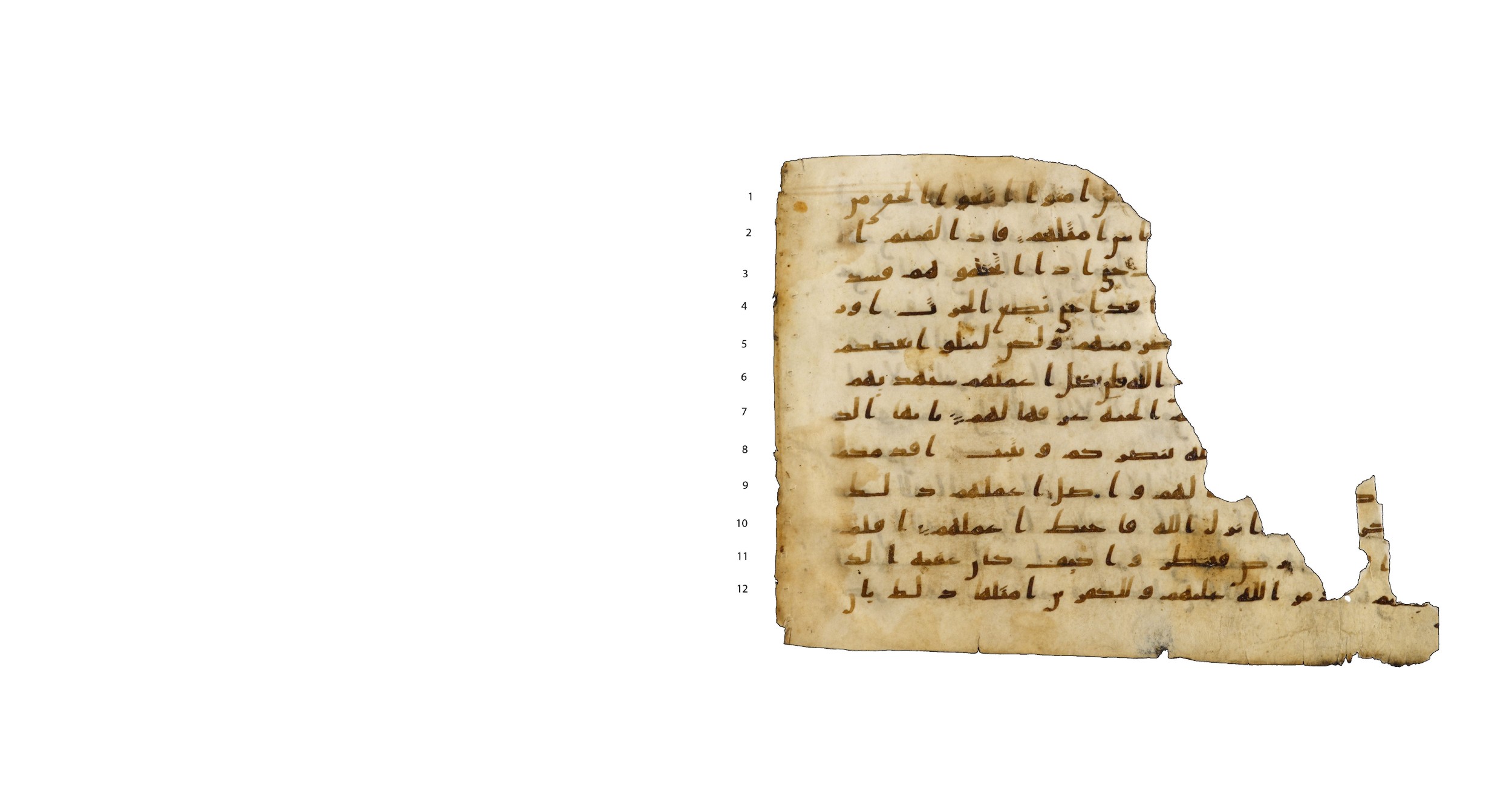 Codex Amrensis 1 (Scan 2), in Ḥiǧāzī I script, showing Surah 47:3 from Early to Mid 8th Century AD found in Fustat (Old Cairo), Egypt, currently housed at Bibliothèque nationale de France, Paris