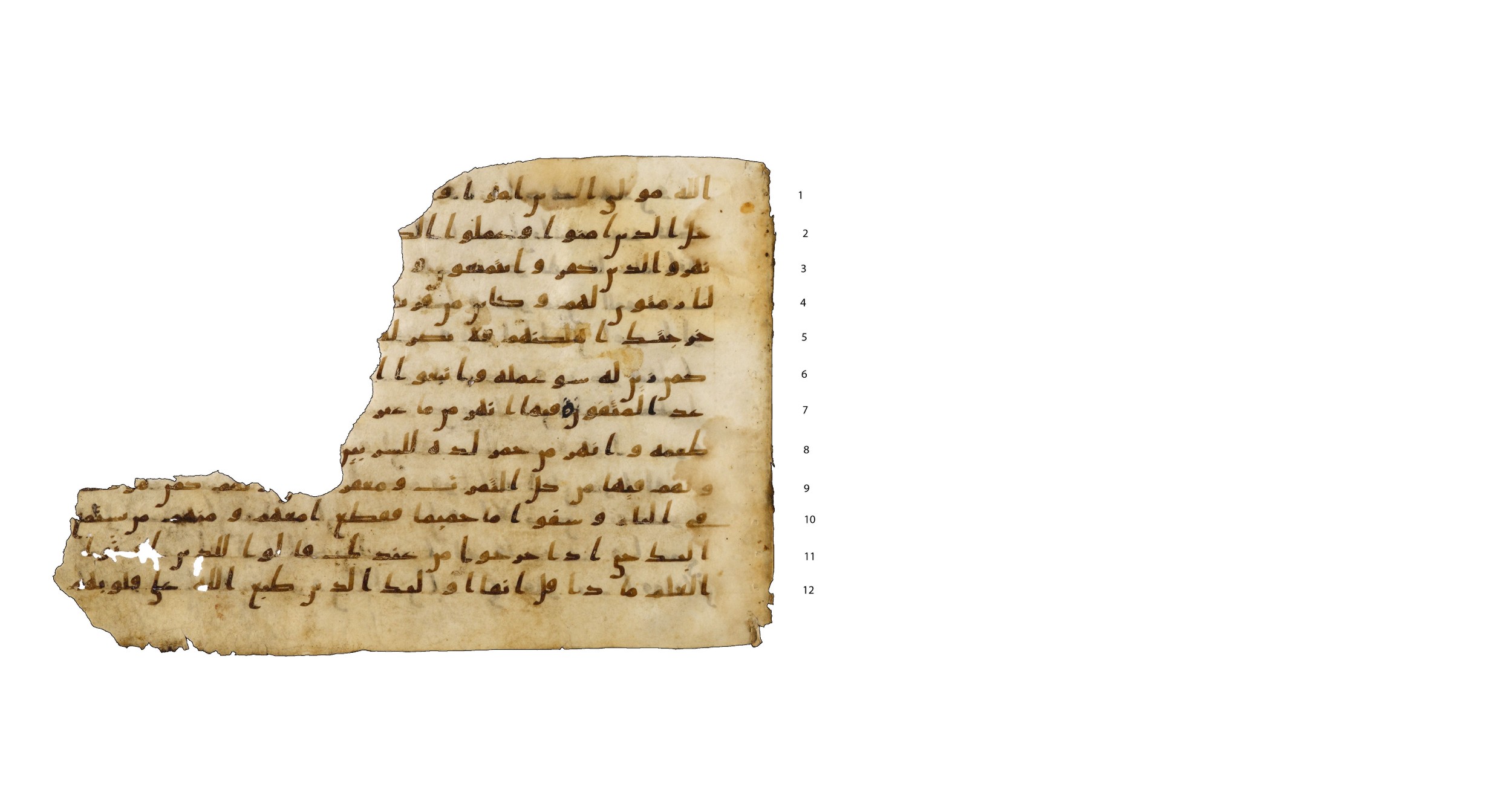 Codex Amrensis 1, in Ḥiǧāzī I script, showing Surah 47:13 from Early to Mid 8th Century AD found in Fustat (Old Cairo), Egypt, currently housed at Bibliothèque nationale de France, Paris