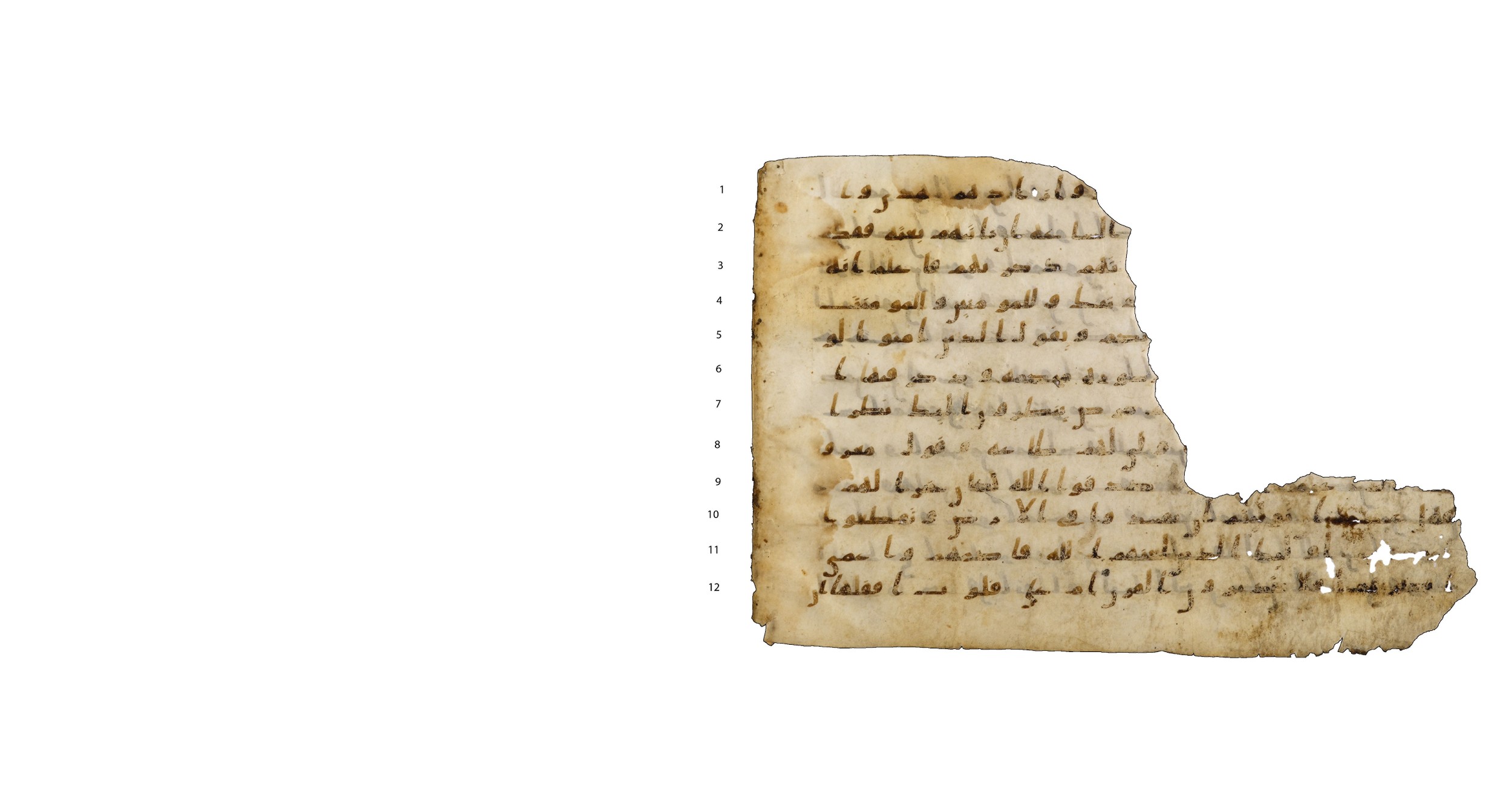 Codex Amrensis 1, in Ḥiǧāzī I script, showing Surah 47:23 from Early to Mid 8th Century AD found in Fustat (Old Cairo), Egypt, currently housed at Bibliothèque nationale de France, Paris