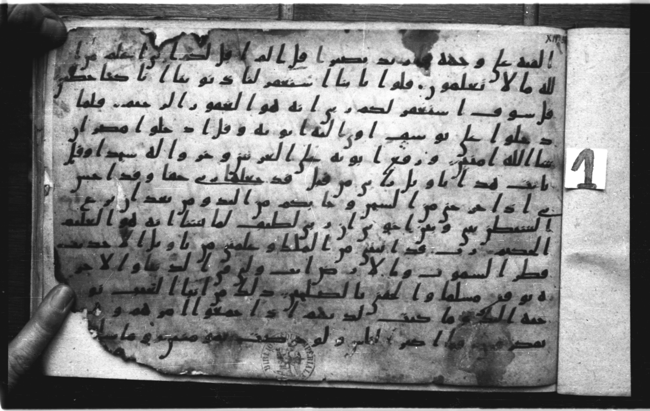 Codex Amrensis 1 (Scan 1), in Ḥiǧāzī I script, showing Surah 12:97 from Early to Mid 8th Century AD found in Fustat (Old Cairo), Egypt, currently housed at Bibliothèque nationale de France, Paris